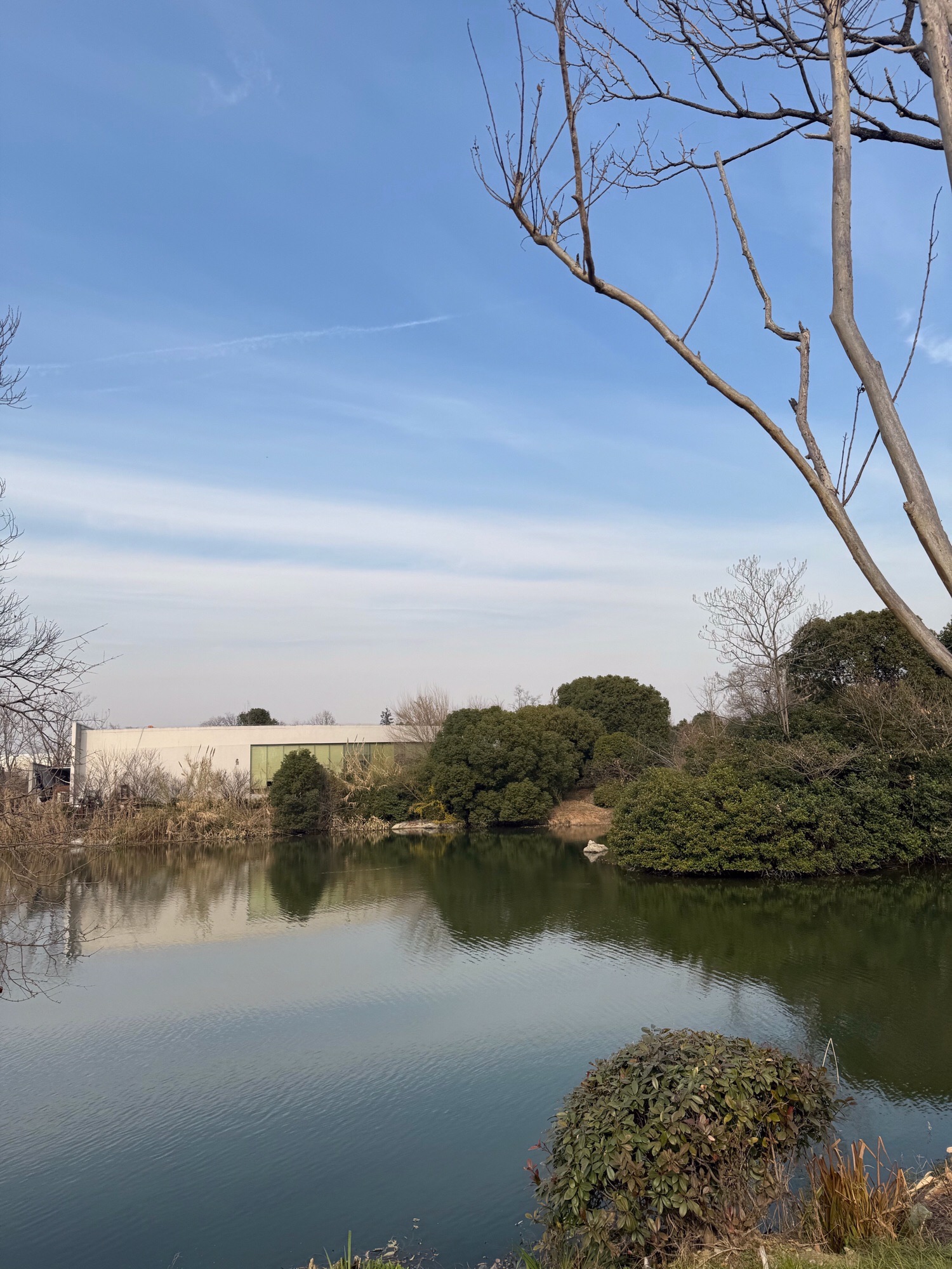 阳山桃花源景区旅行图片 2
