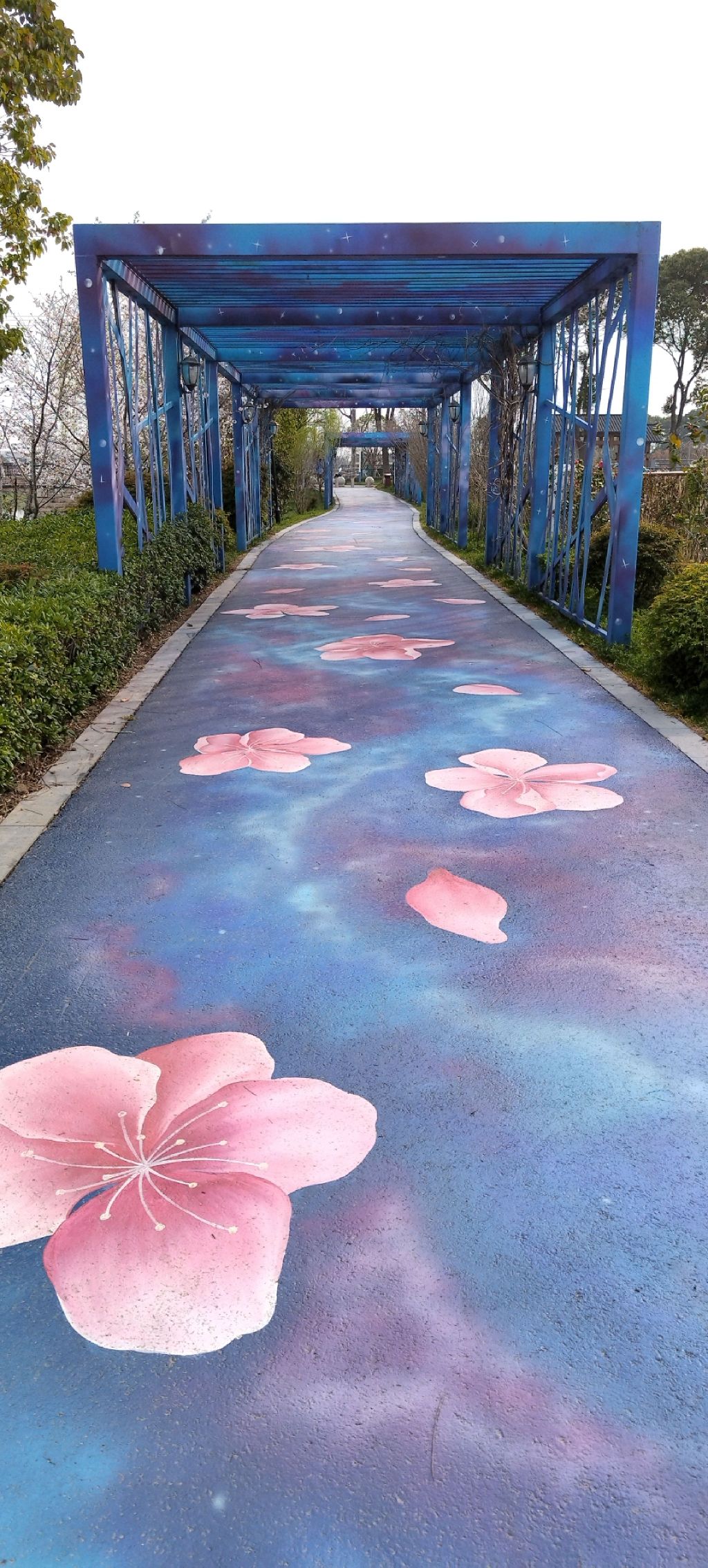 阳山桃花源景区旅行图片 1