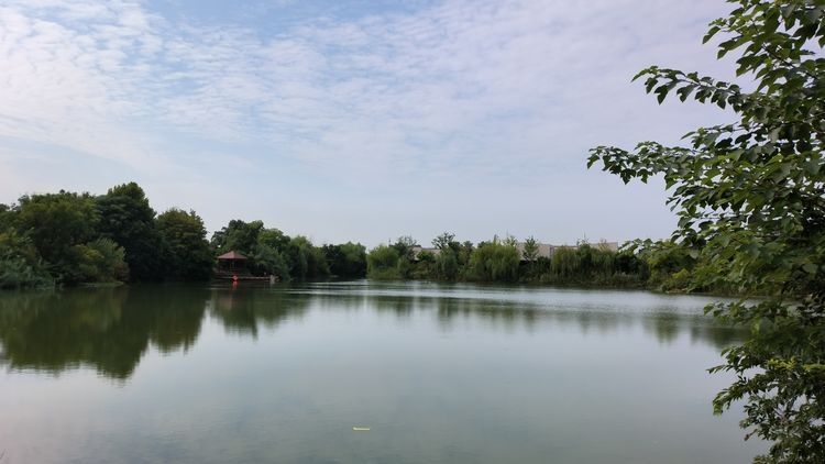 阳山桃花源景区旅行图片 2