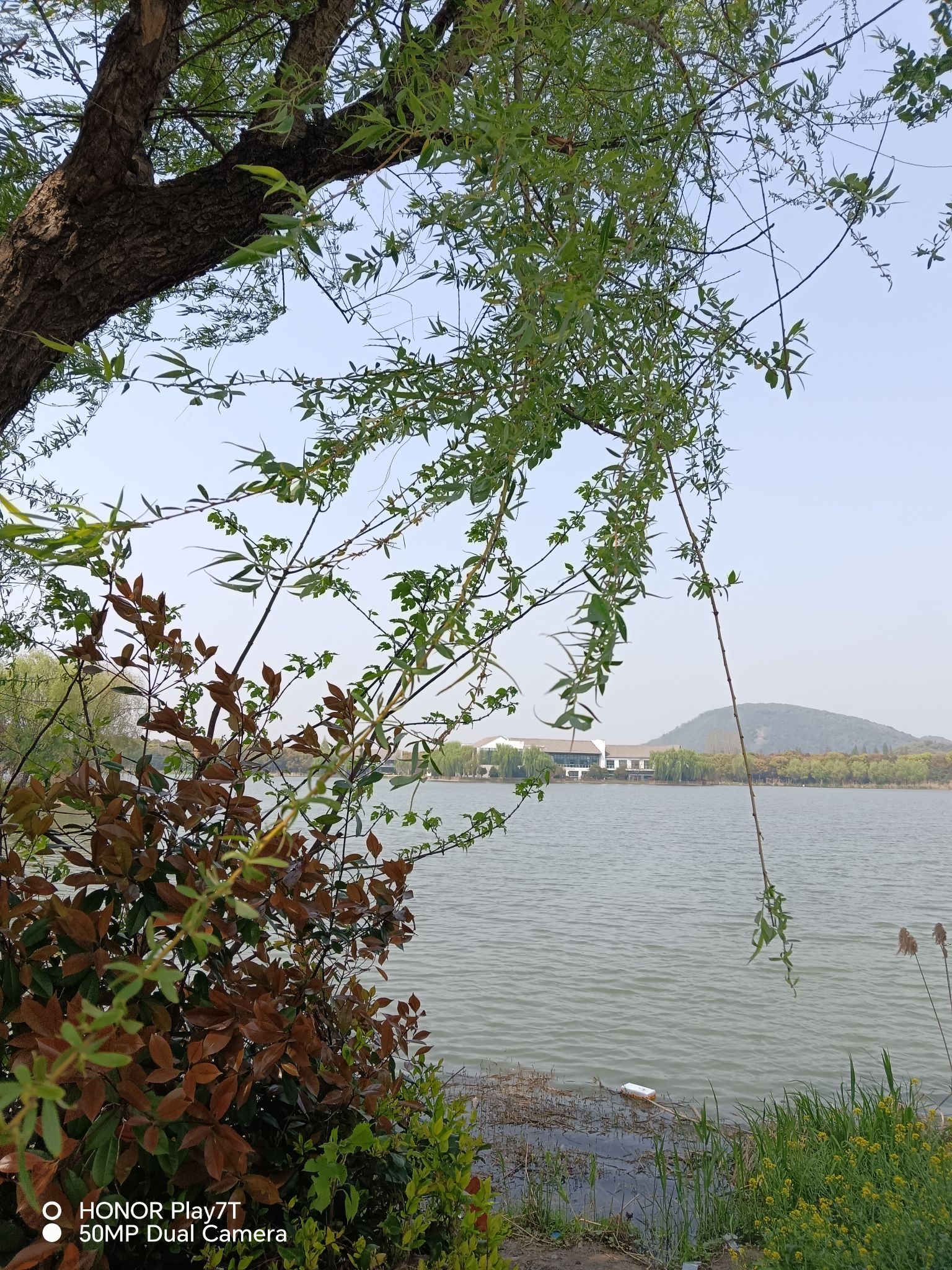 绮山森林公园旅行图片 3