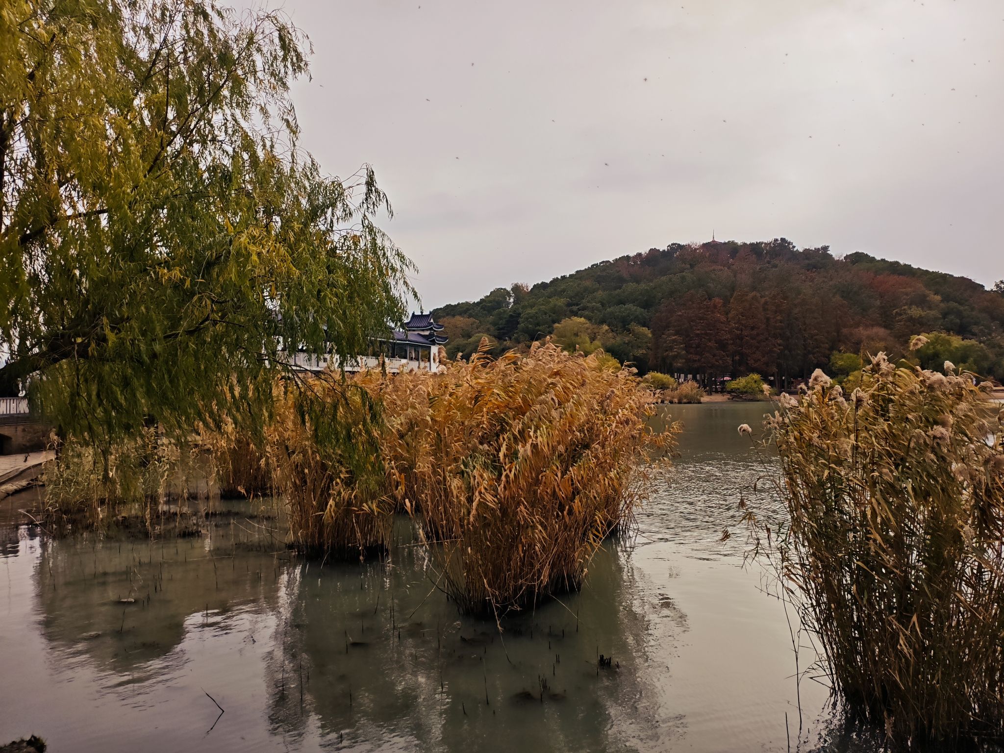 太湖鼋头渚风景区旅行图片 1
