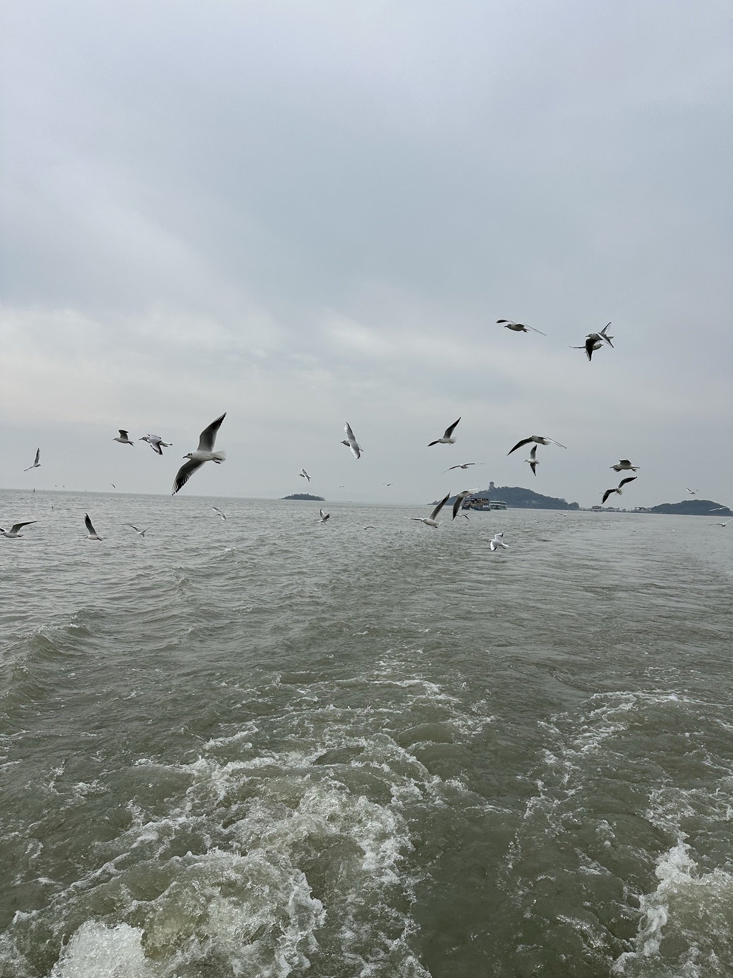 太湖鼋头渚风景区旅行图片