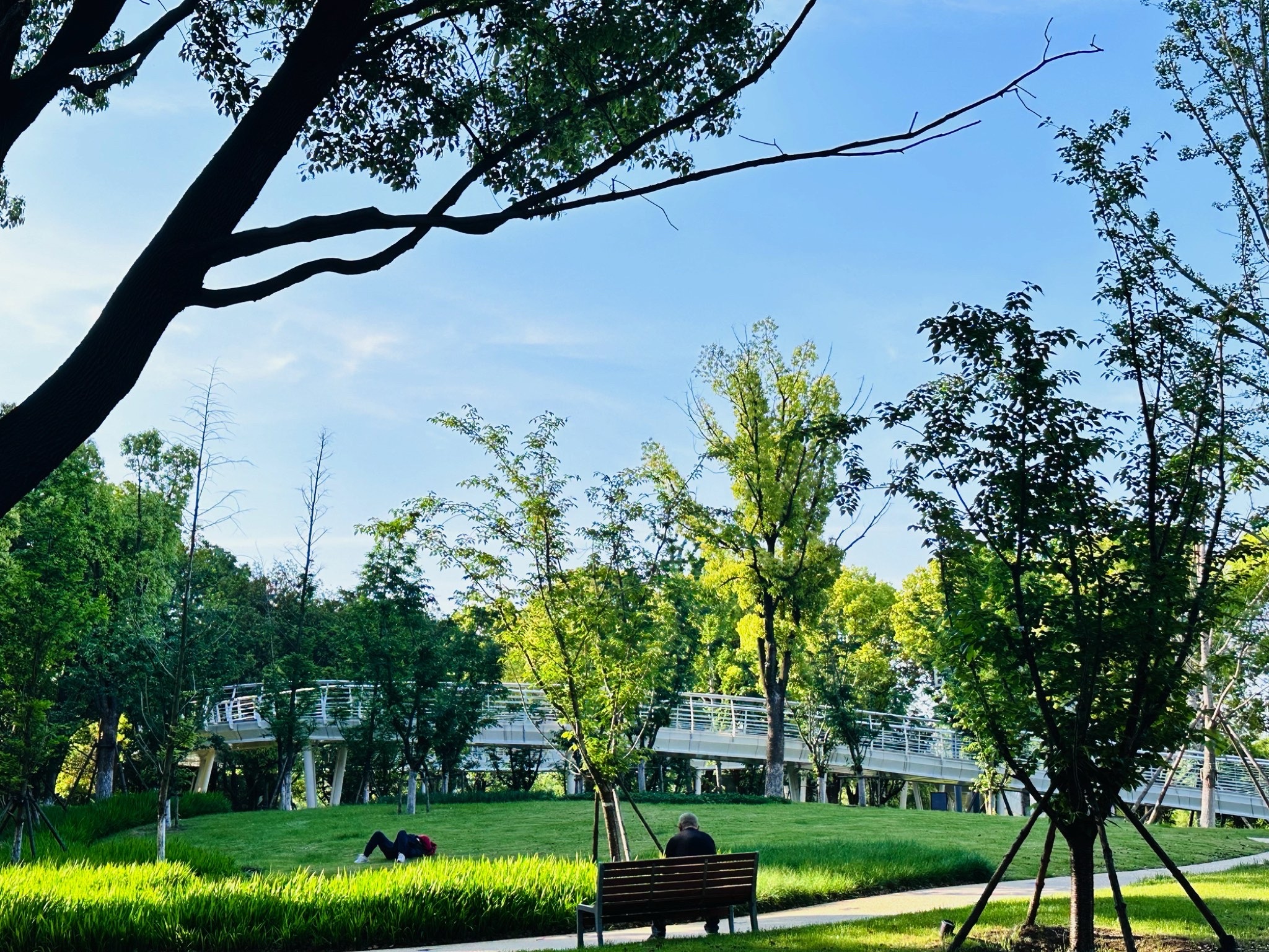 惠山新城中央公园旅行图片 1