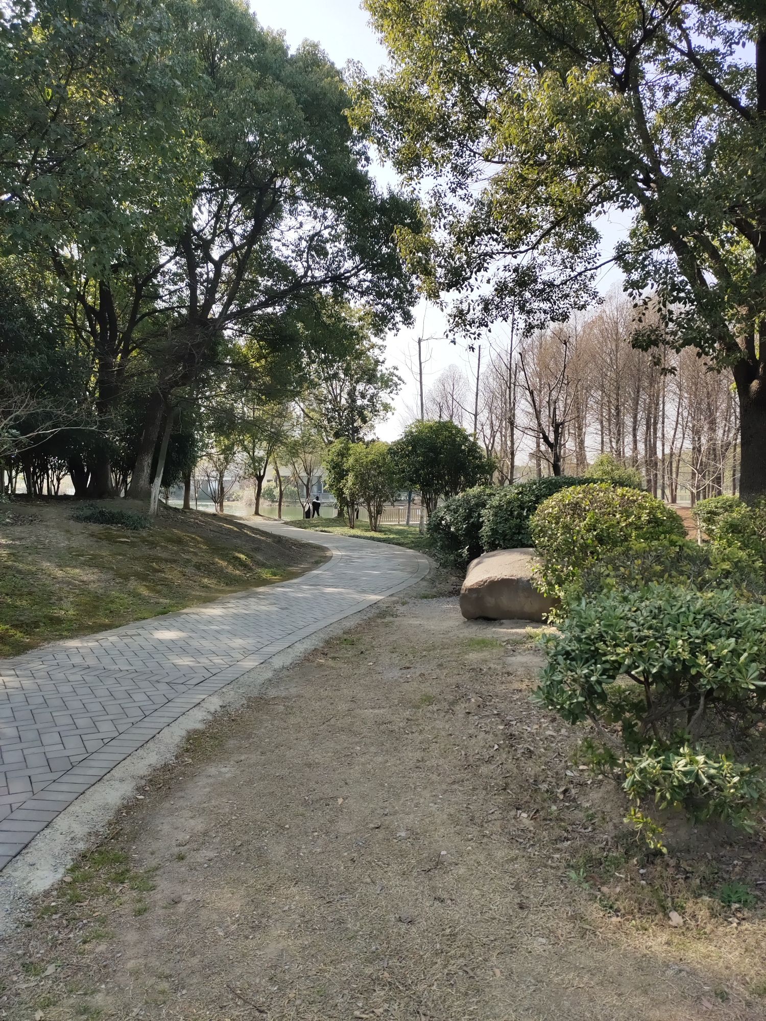 惠山湿地公园旅行图片 2