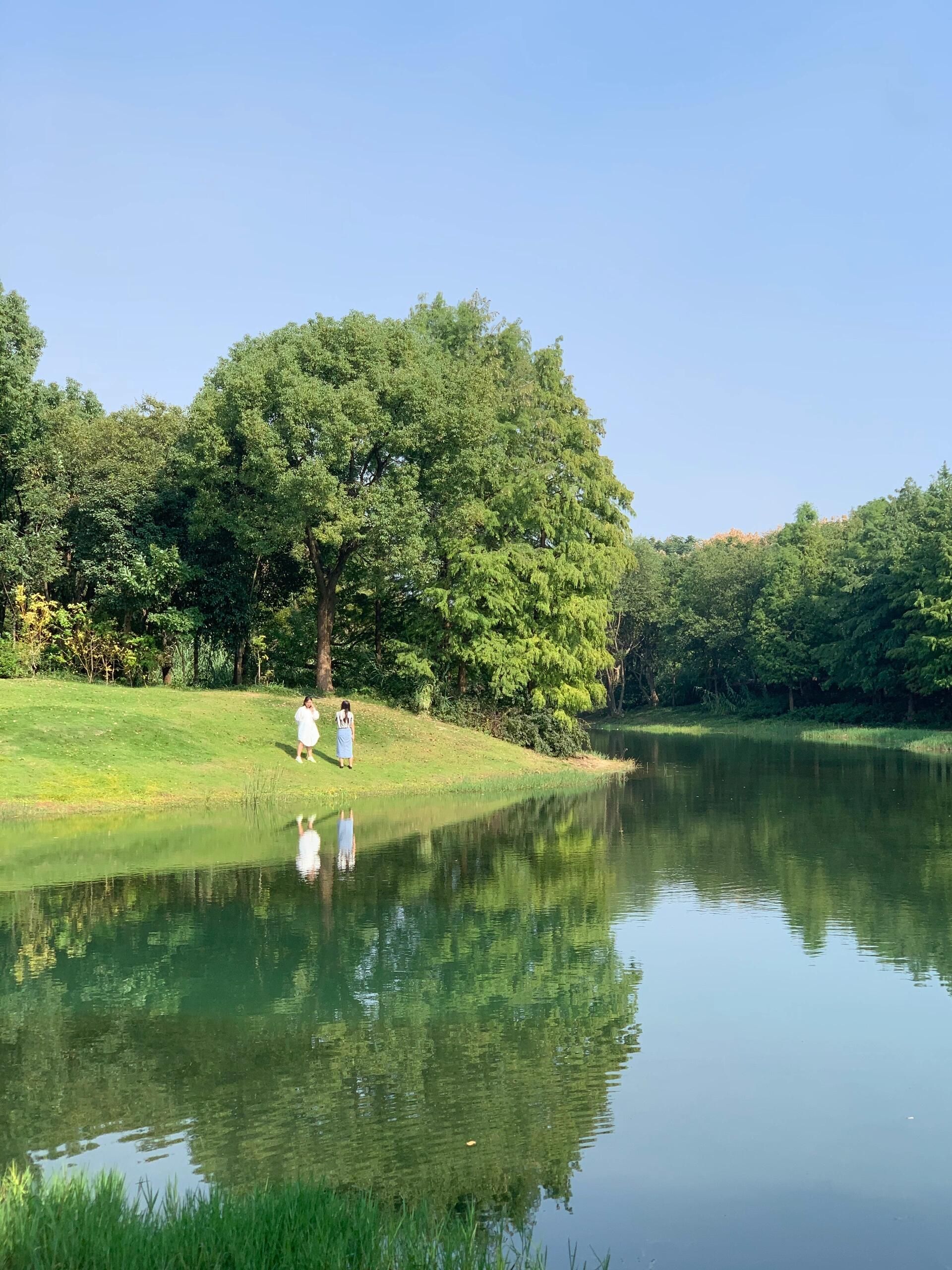 惠山湿地公园旅行图片 2
