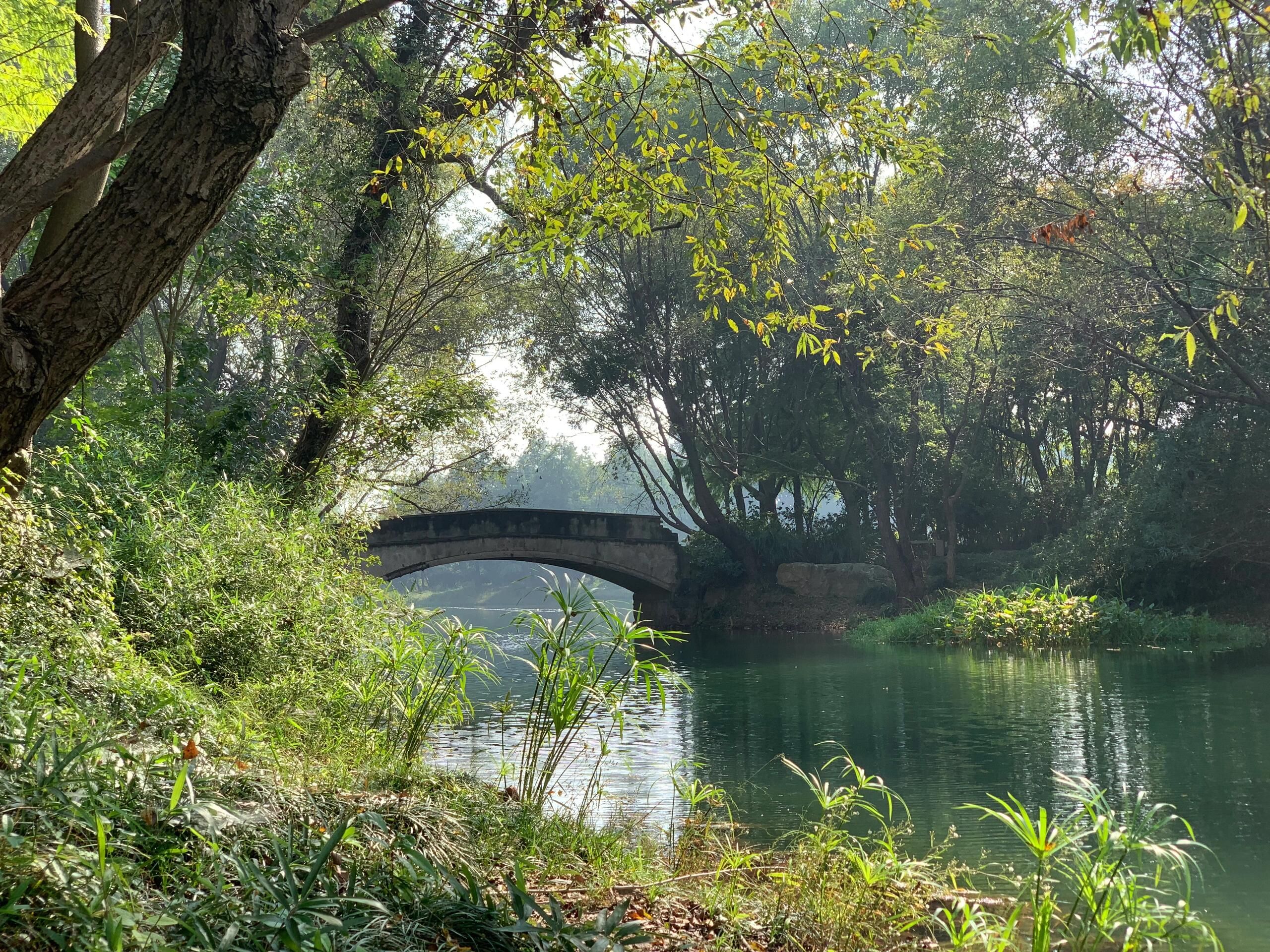 惠山湿地公园旅行图片 3