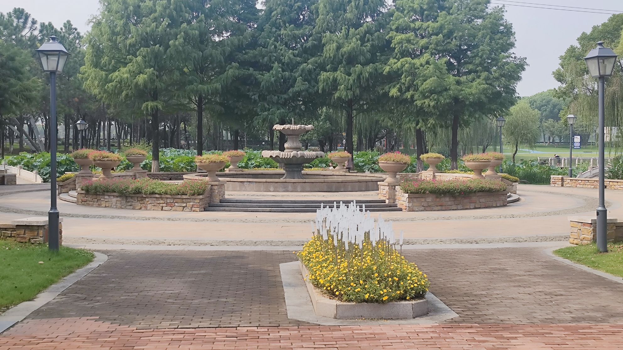 雨人岛公园旅行图片 2