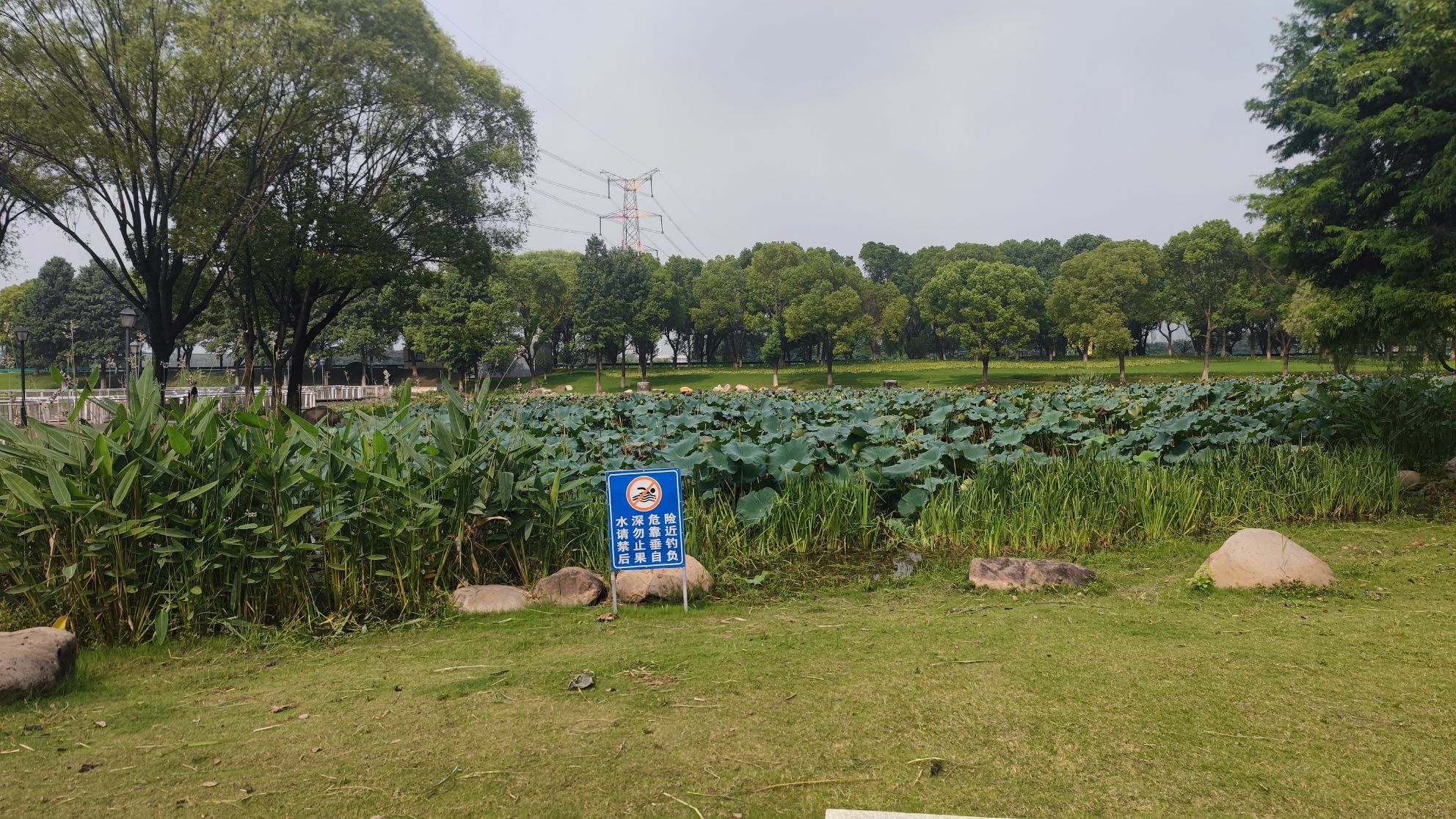 雨人岛公园旅行图片 3