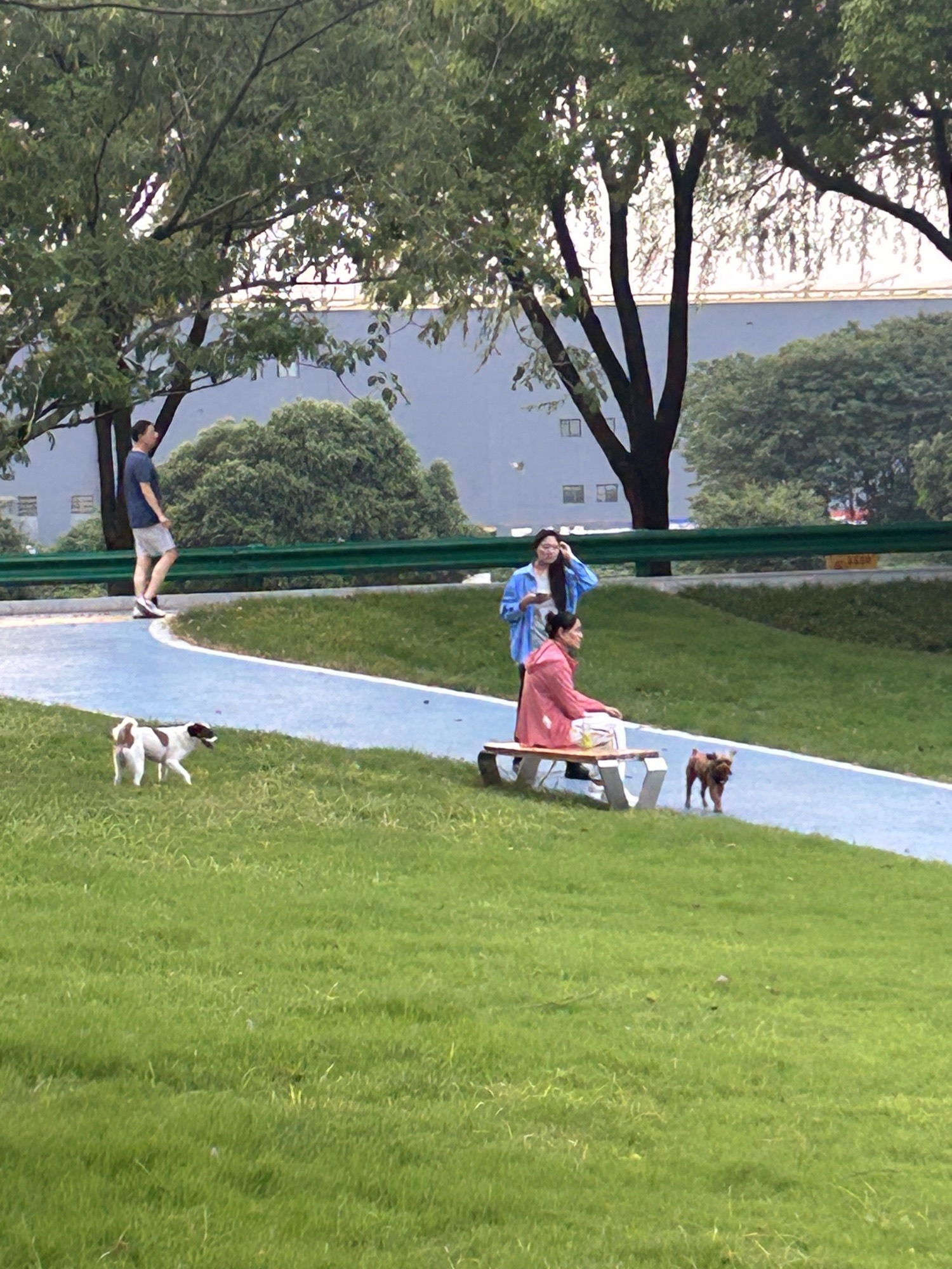 雨人岛公园旅行图片 2