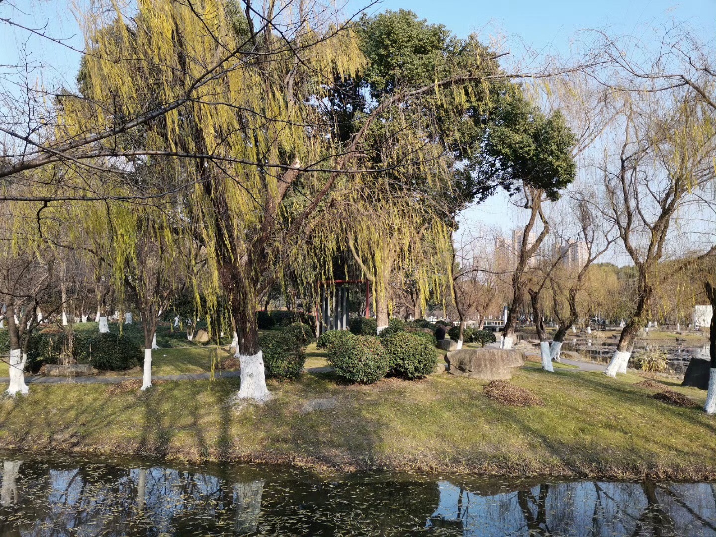 新城中央公园旅行图片 3