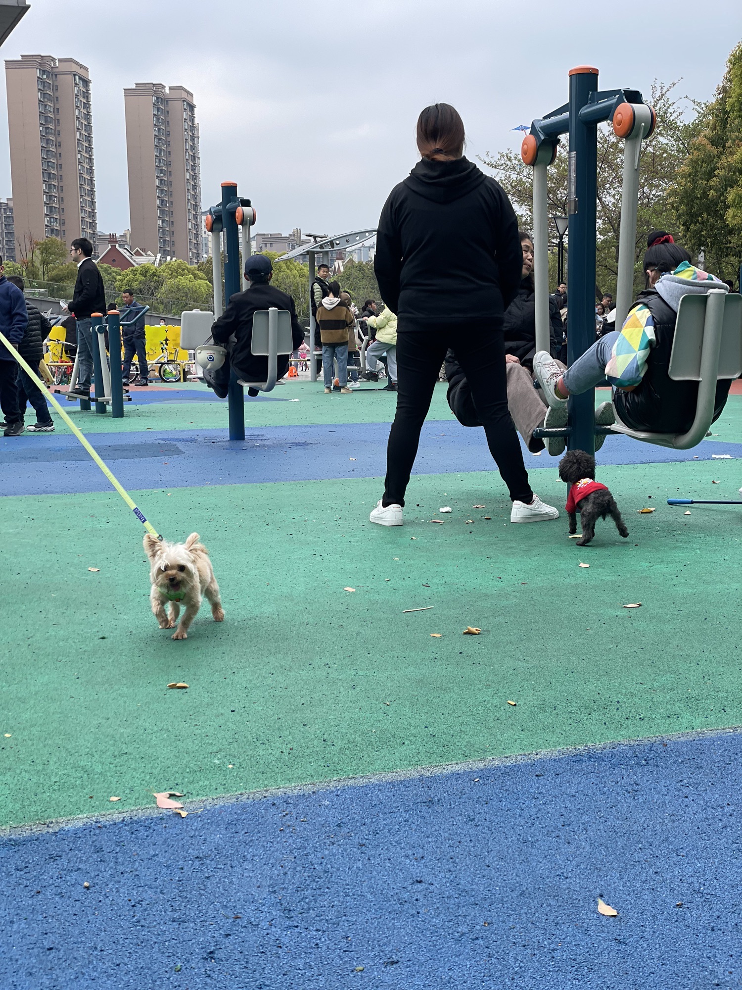 新城中央公园旅行图片 2