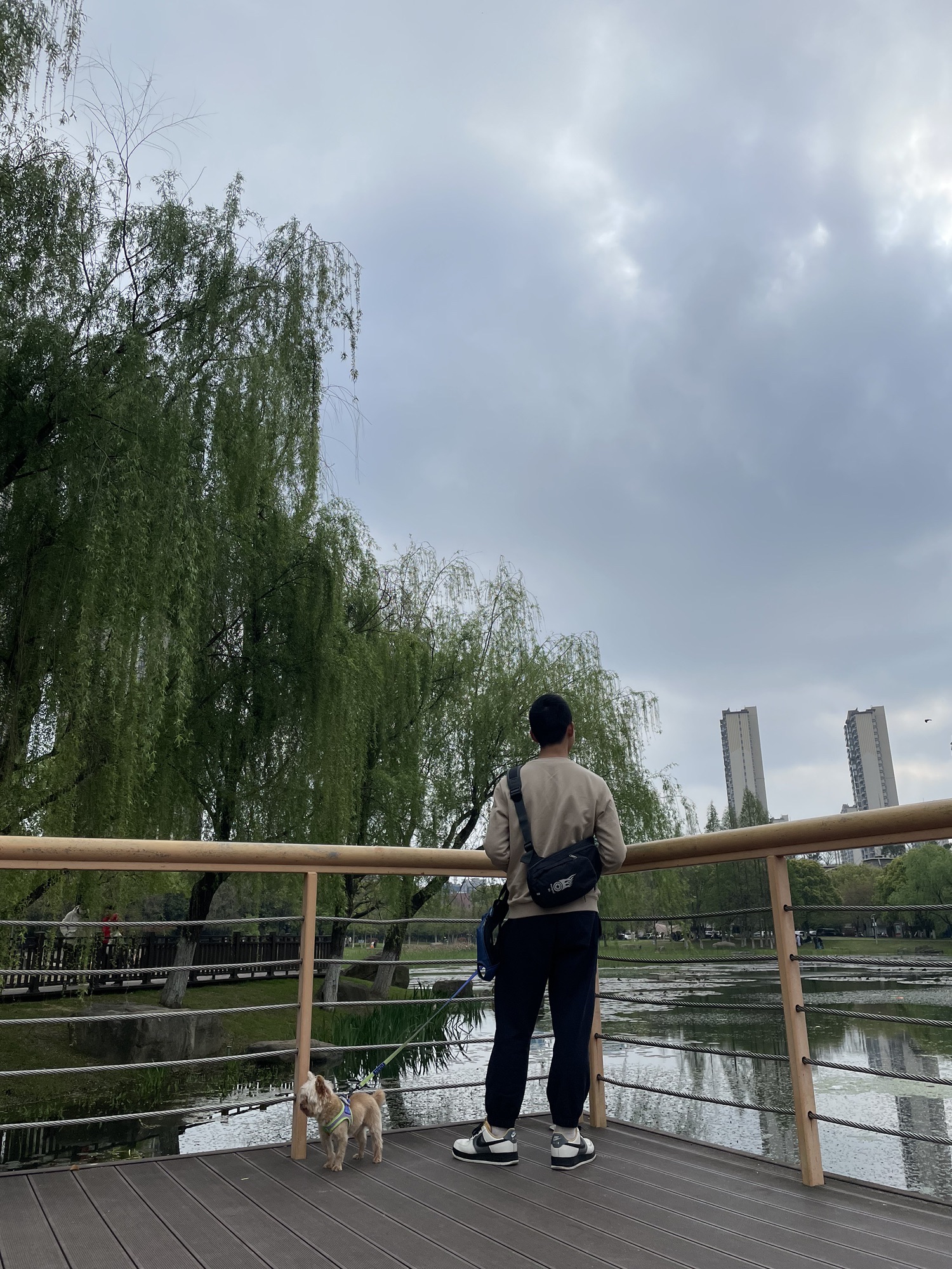 新城中央公园旅行图片 1