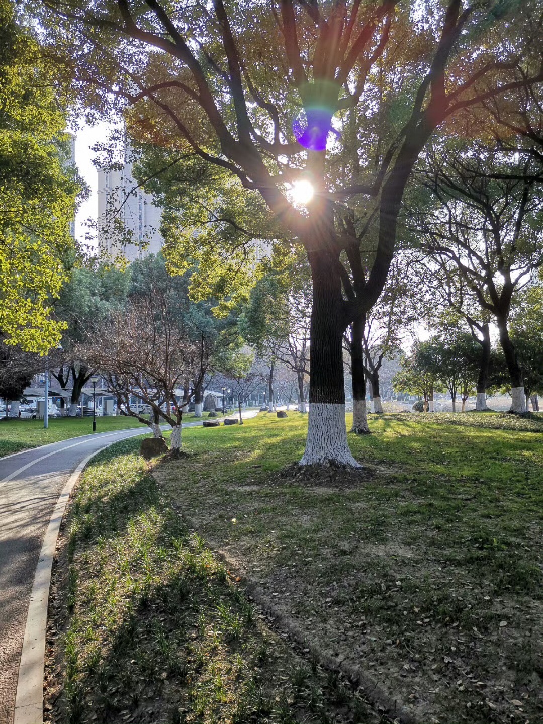 新城中央公园旅行图片 1