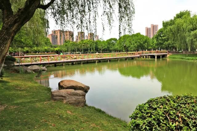 新城中央公园旅行图片 2