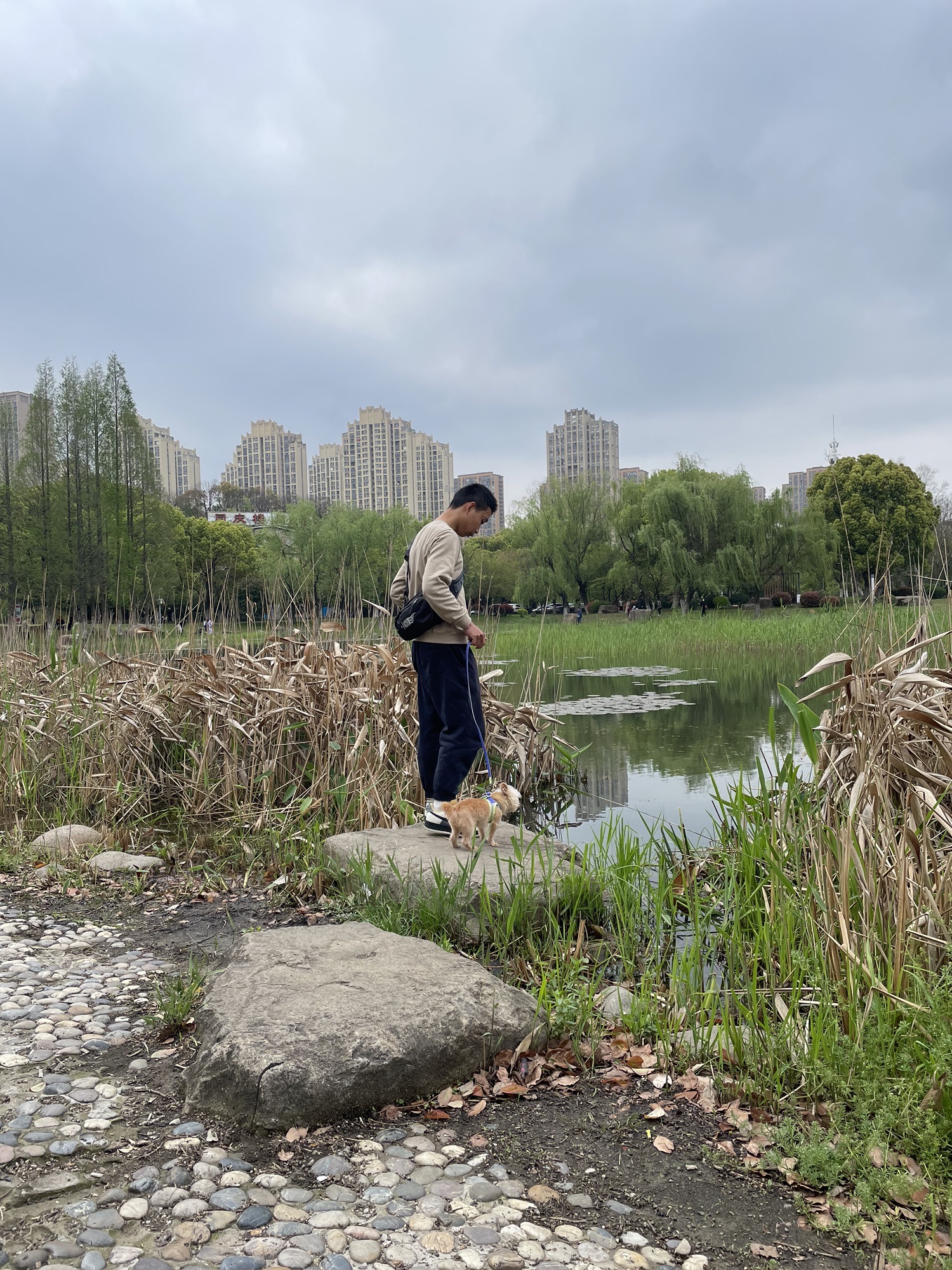 新城中央公园旅行图片 3