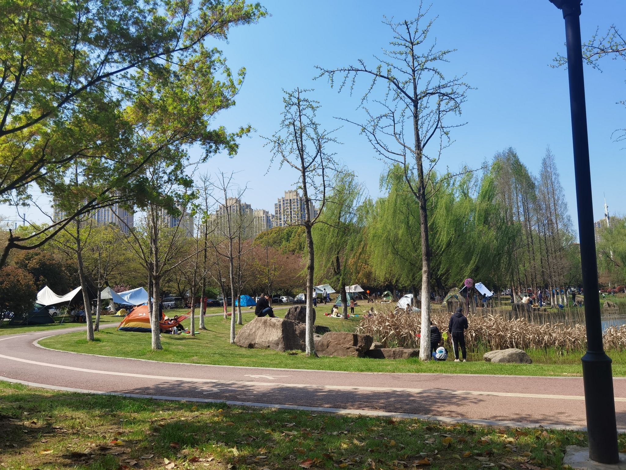 新城中央公园旅行图片 2