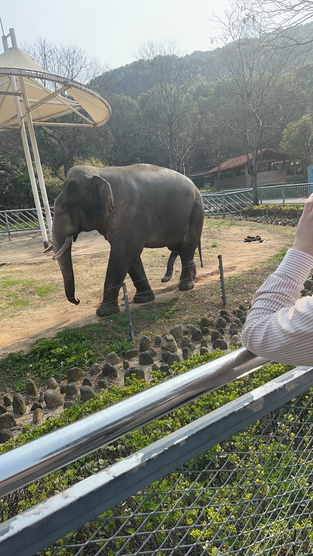 无锡动物园旅行图片 1