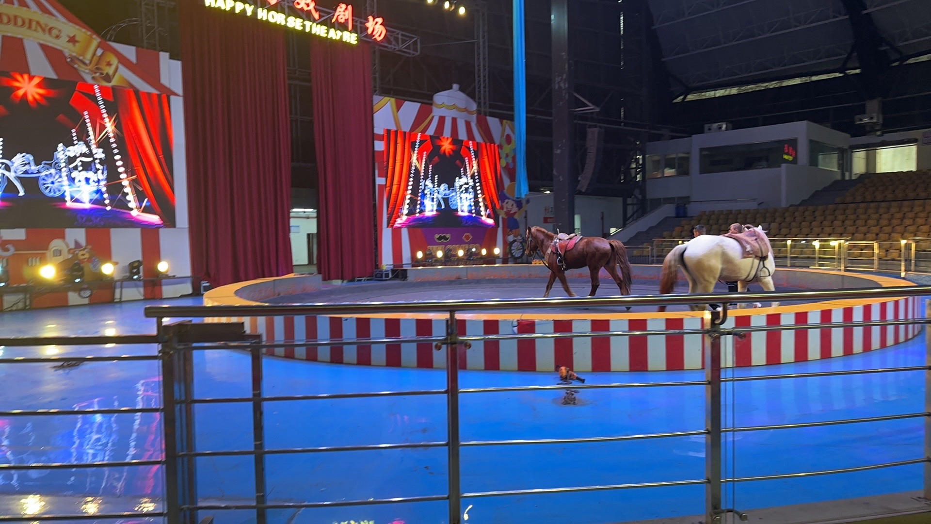 无锡动物园旅行图片 3