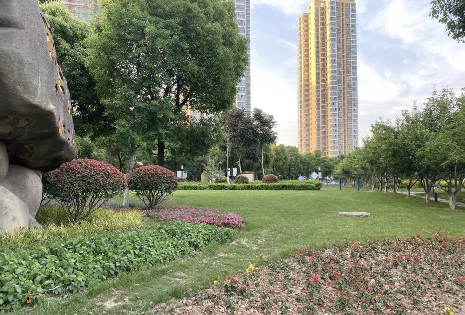 旺庄公园旅行图片 3
