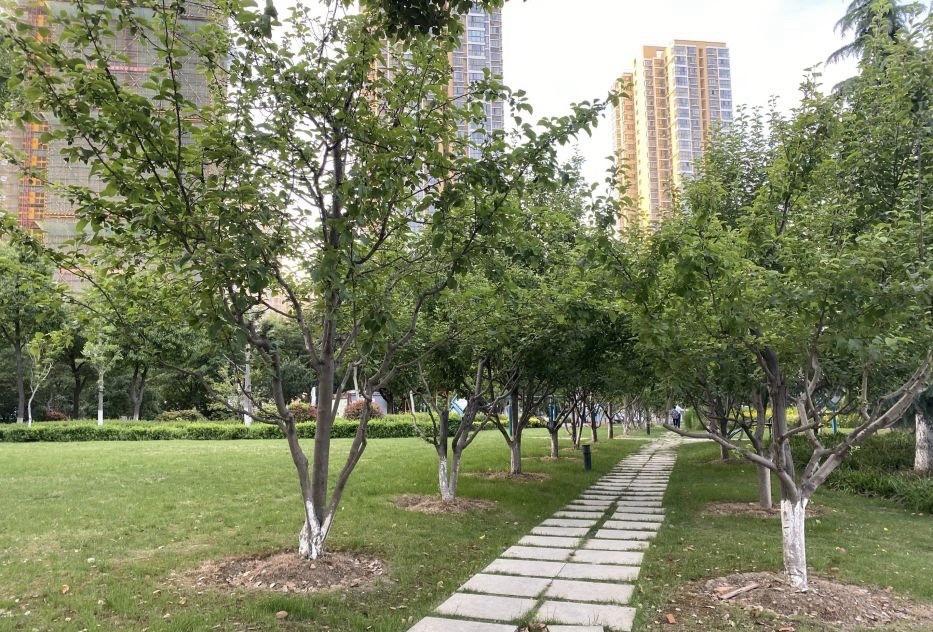 旺庄公园旅行图片 2