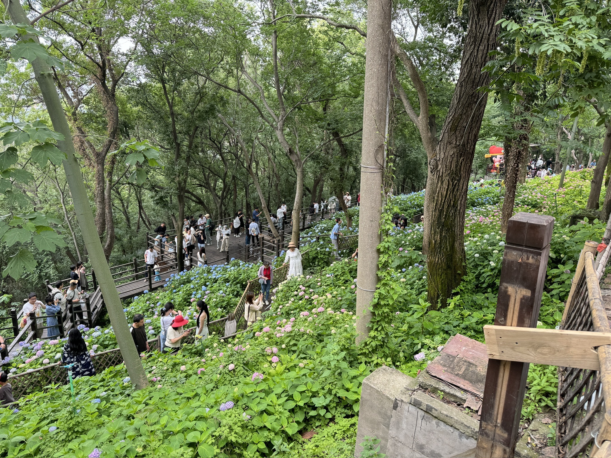 惠山古镇景区旅行图片 3