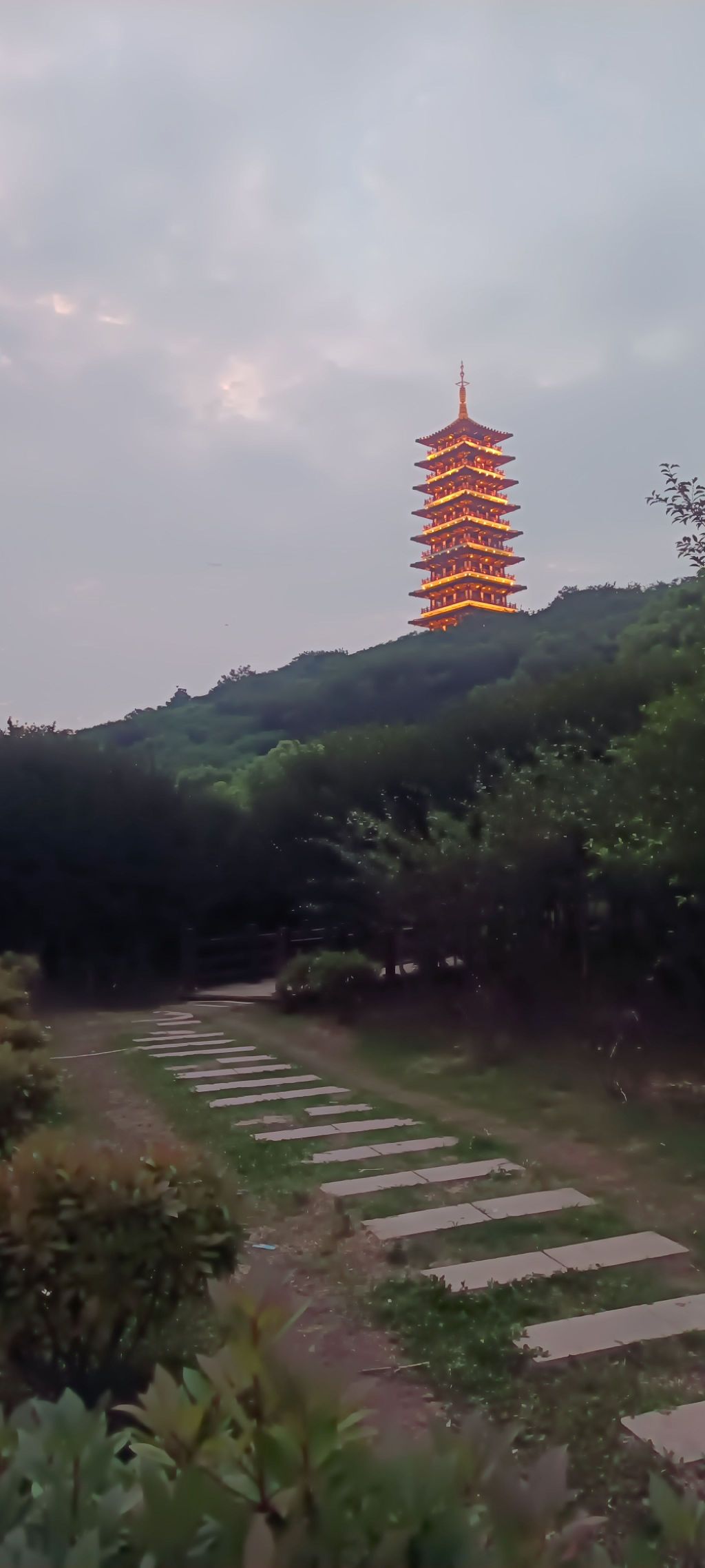 林峰塔旅行图片 3