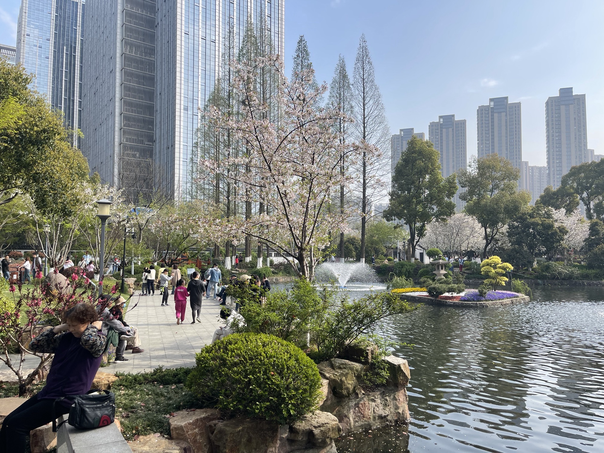 友好园旅行图片 2
