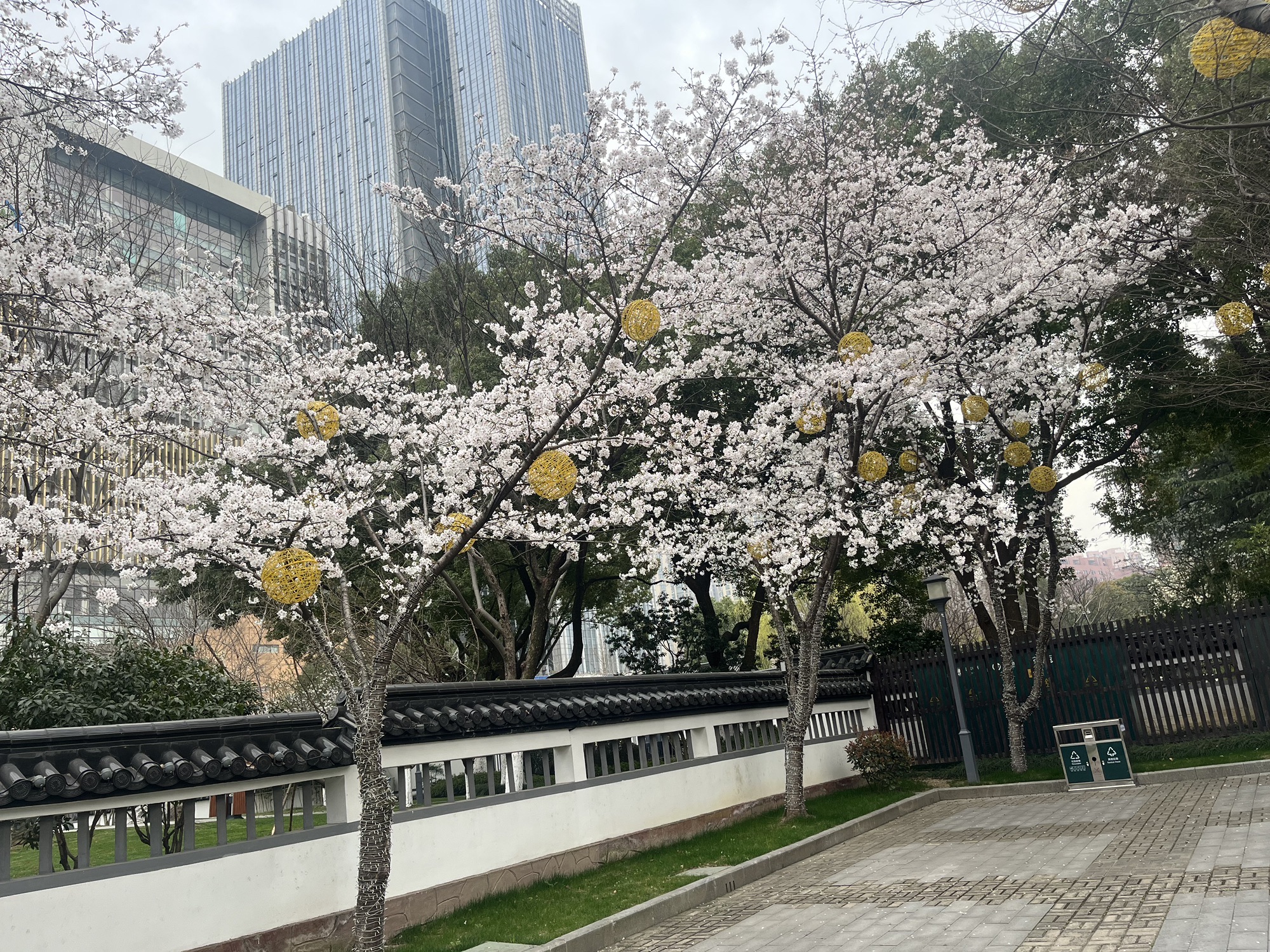 友好园旅行图片 2