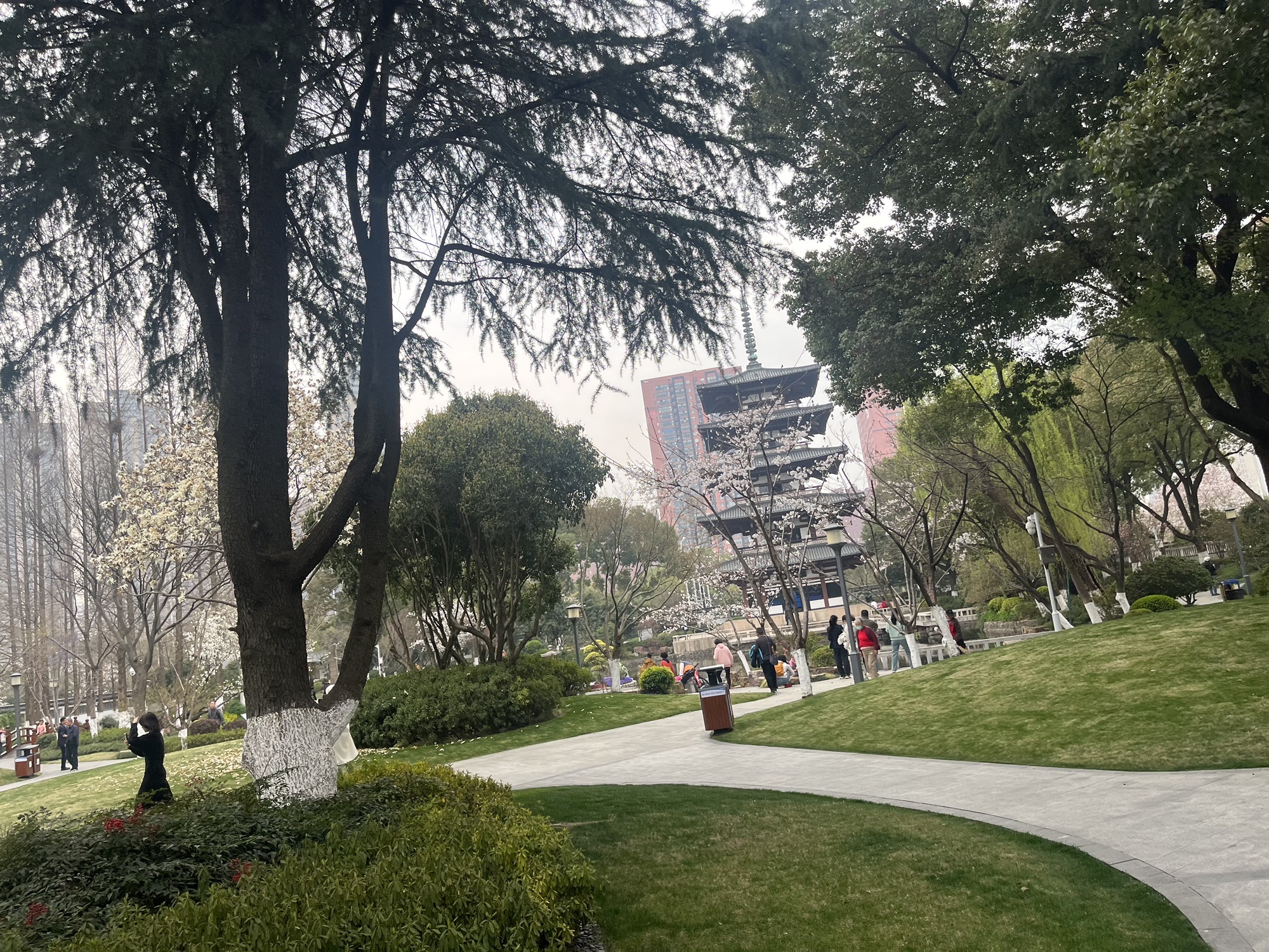 友好园旅行图片 3