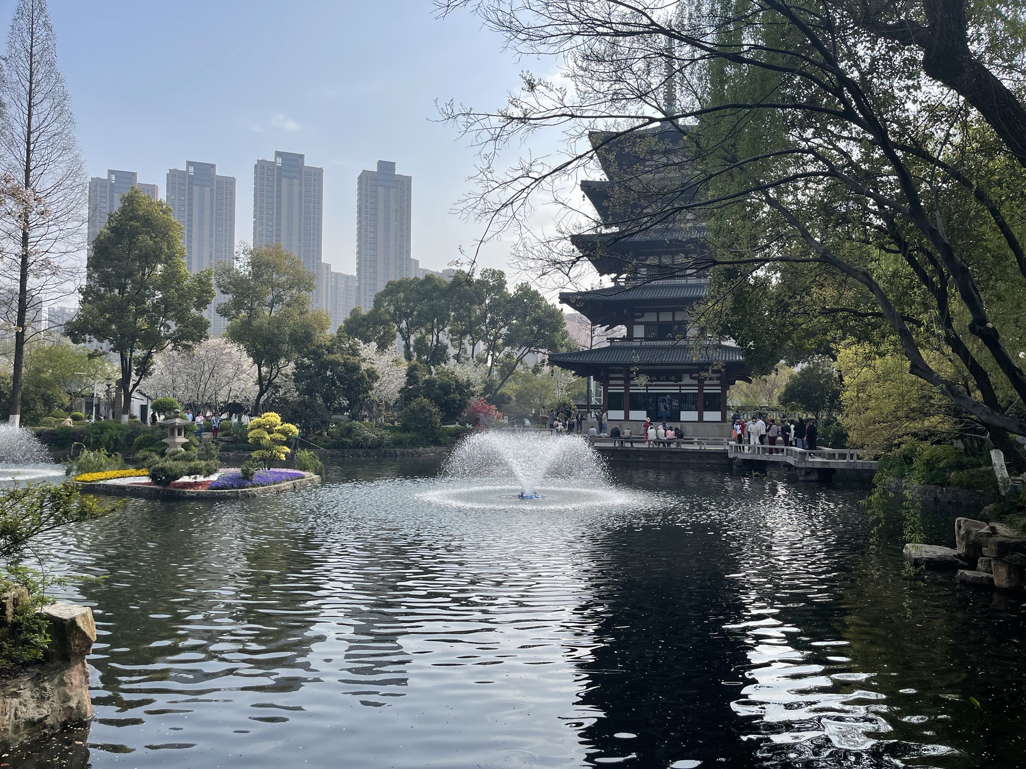 友好园旅行图片 1