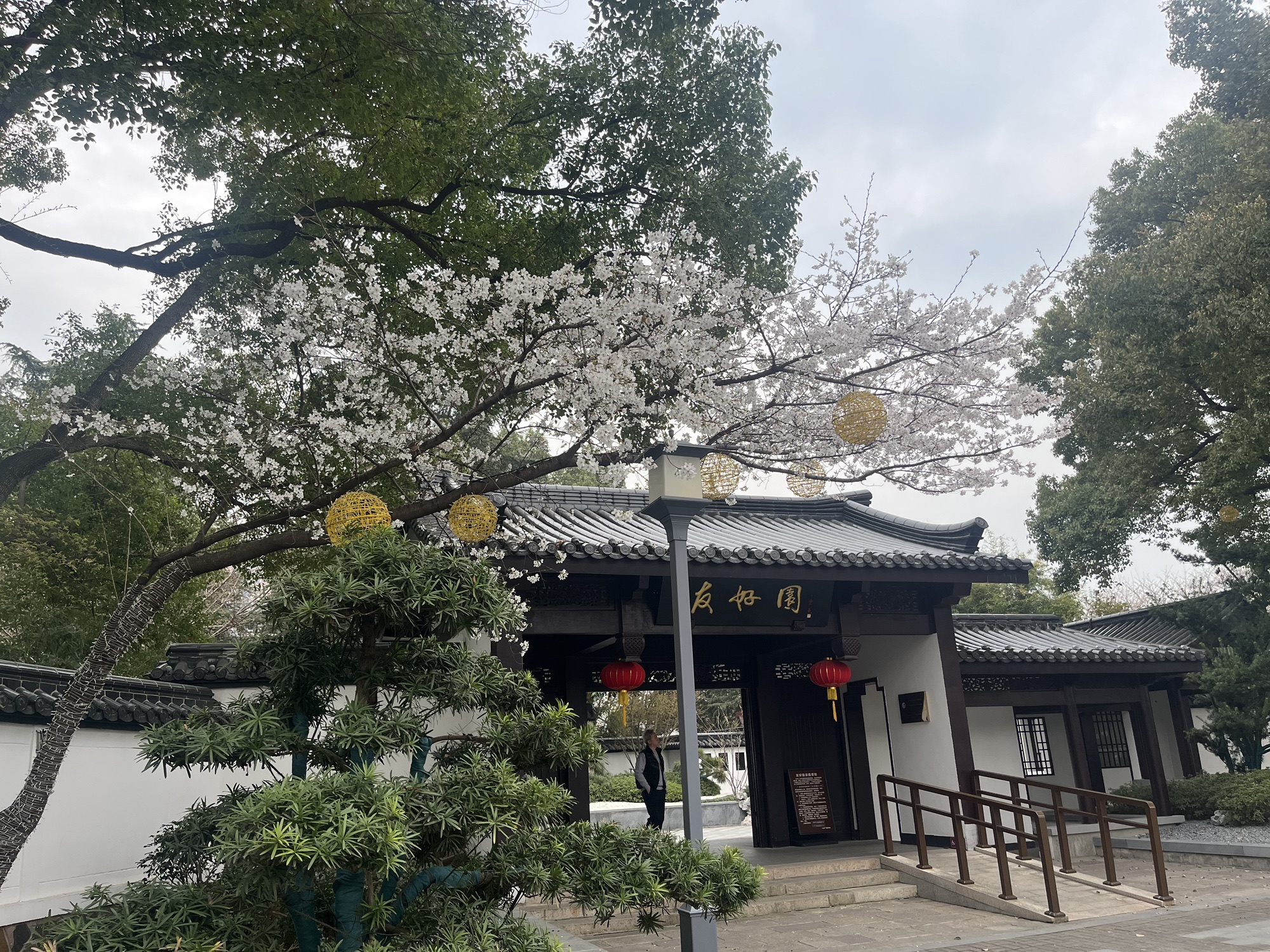 友好园旅行图片 1
