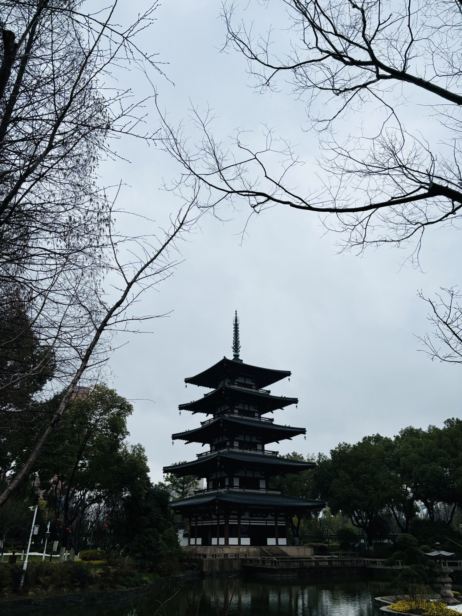 友好园旅行图片 3