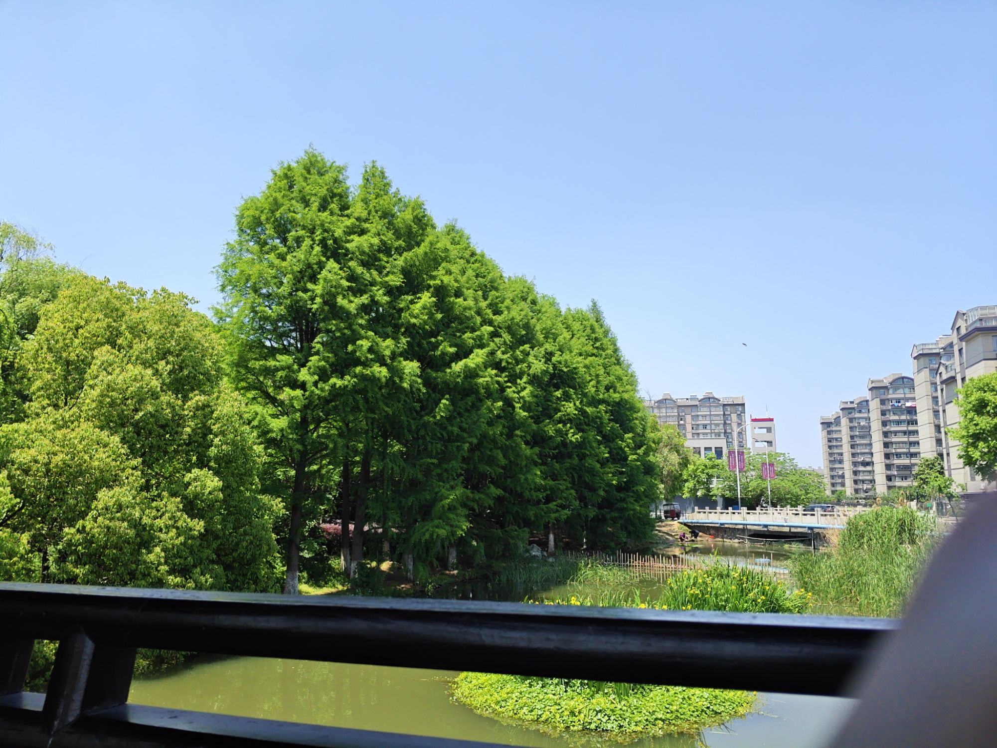 兴塘公园旅行图片 3