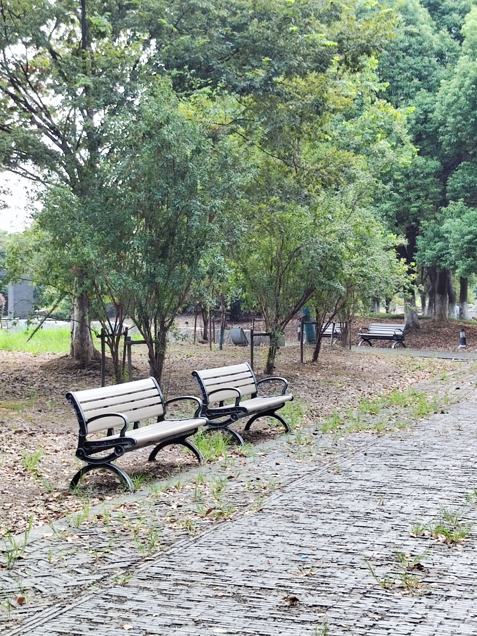 长江之心体育文化公园旅行图片 1