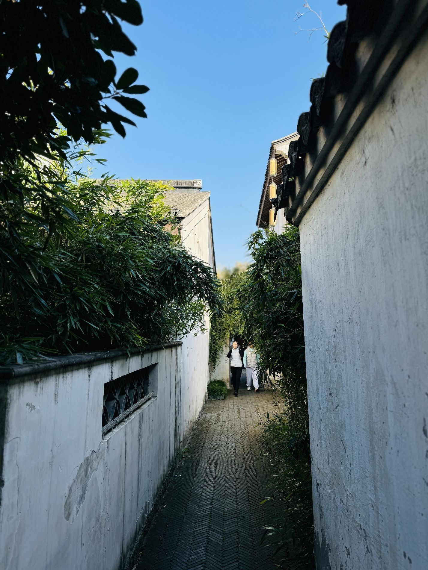 巡塘古镇旅行图片 1