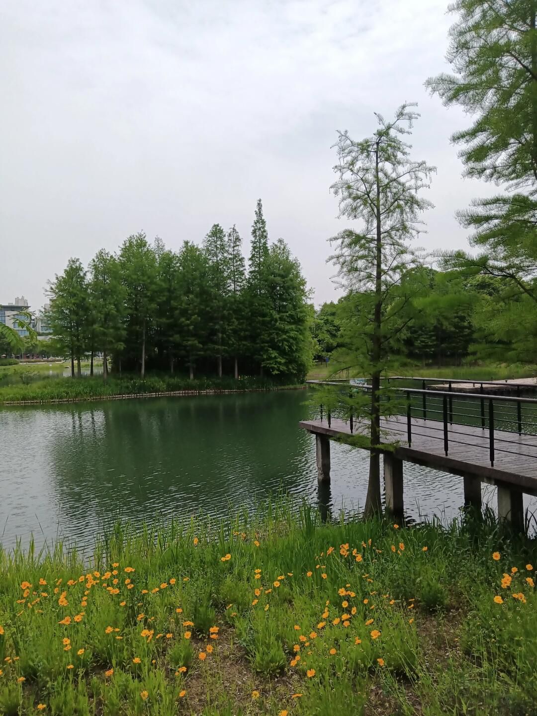 巡塘古镇旅行图片 2