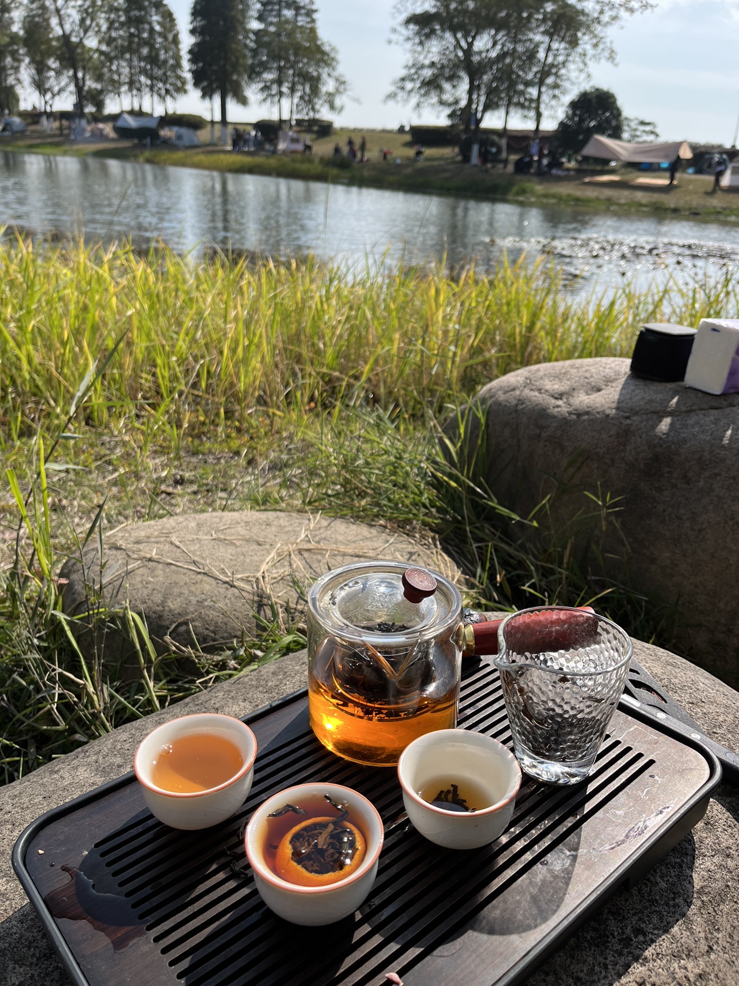 香樟园旅行图片 2