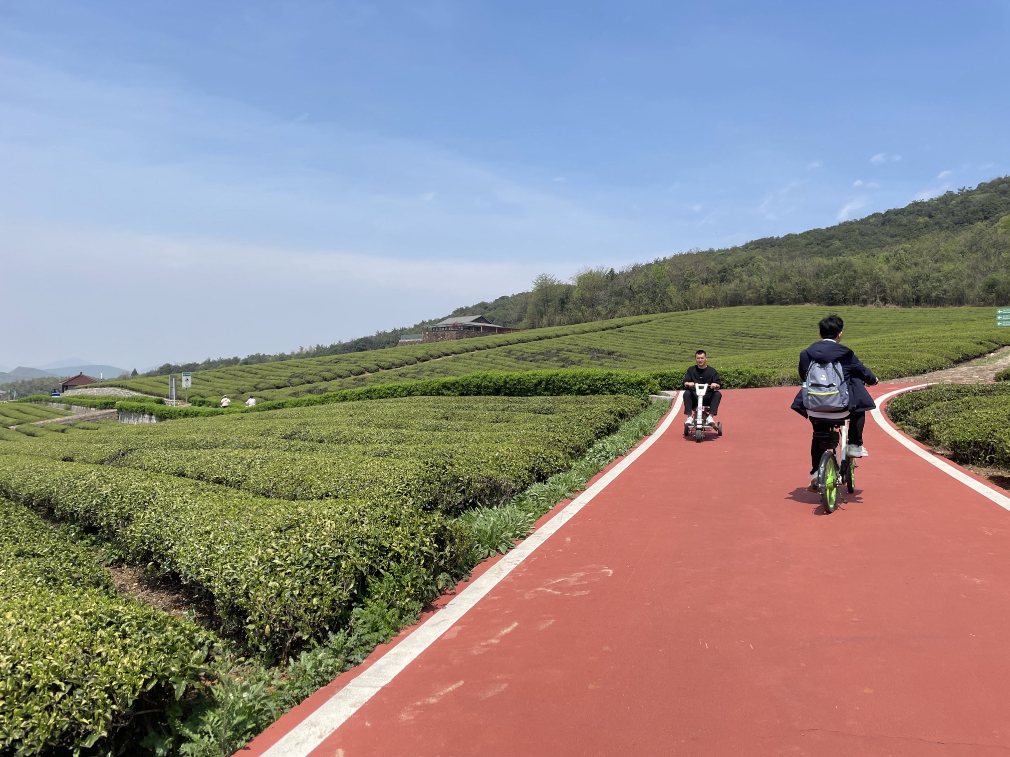 龙池山自行车公园旅行图片 2