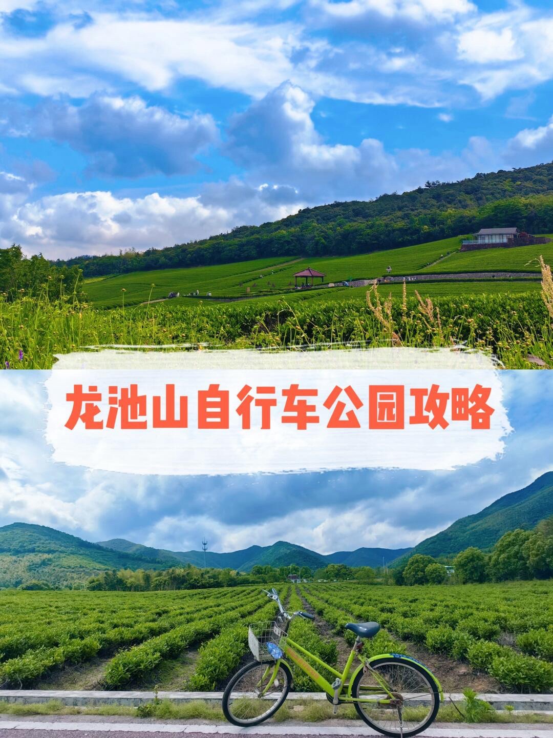 龙池山自行车公园旅行图片 1