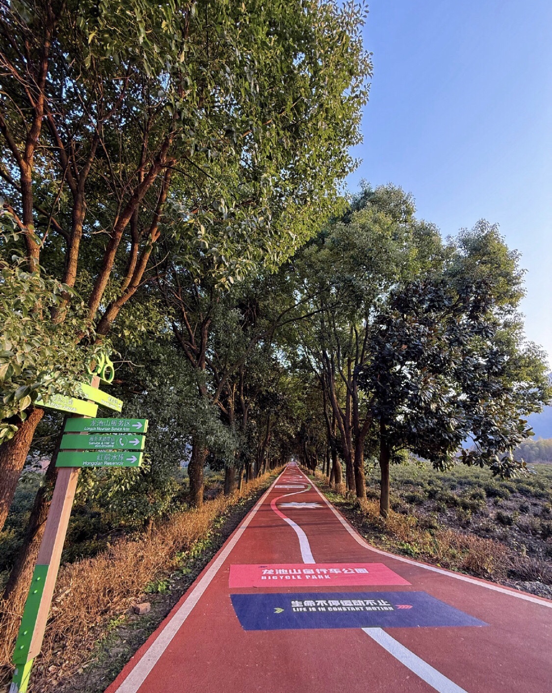 龙池山自行车公园旅行图片 1