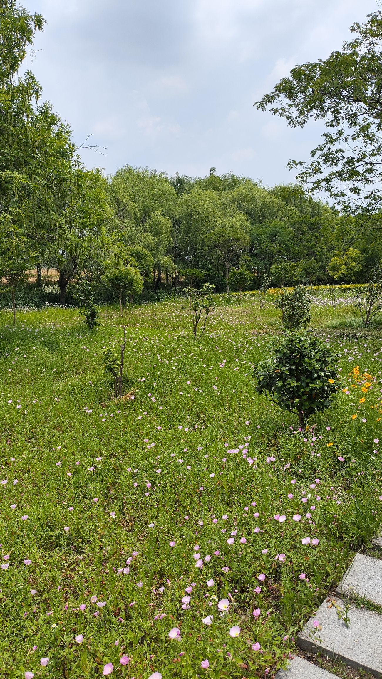 古庄农业生态园