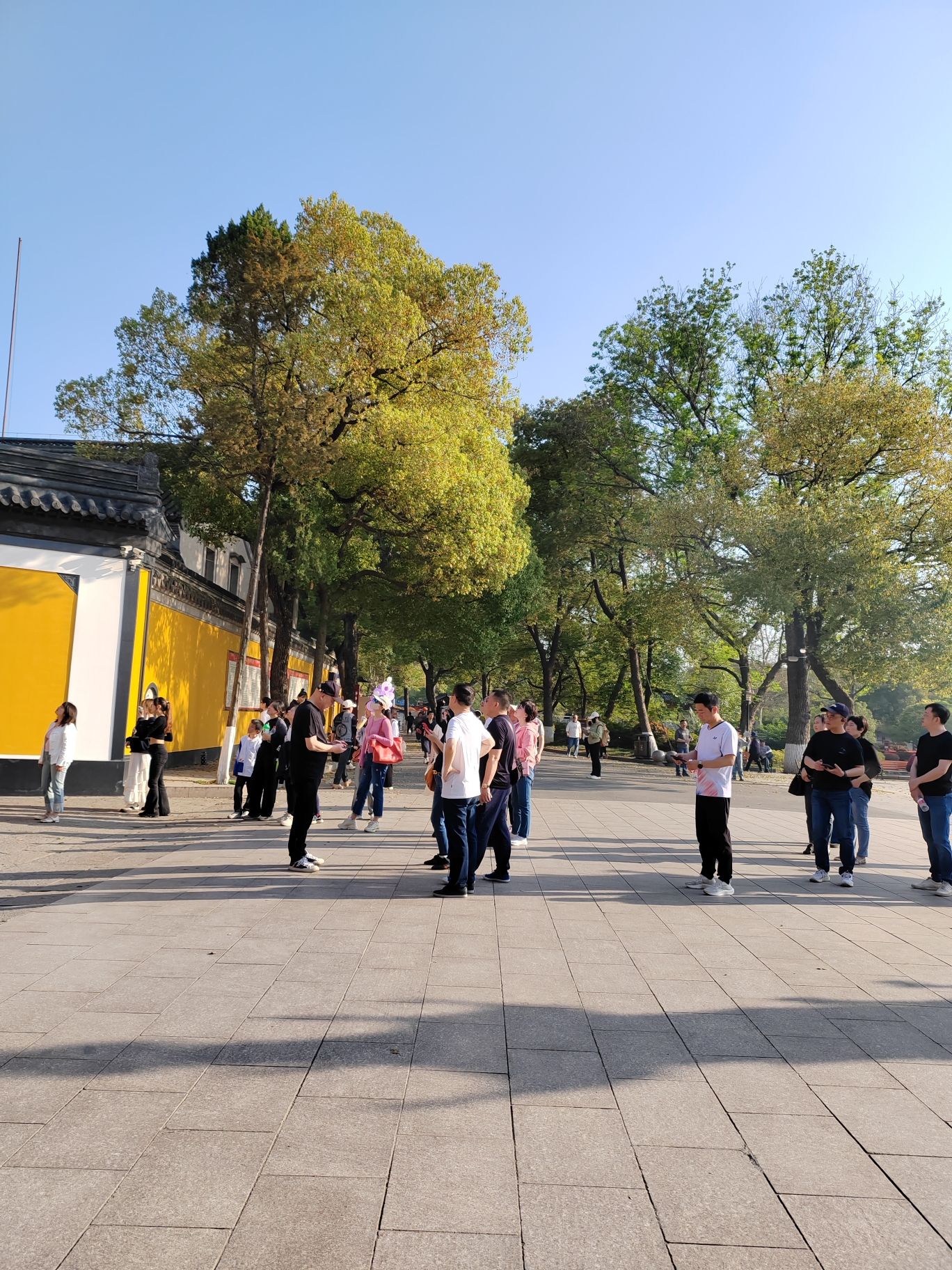 金山公园旅行图片 3