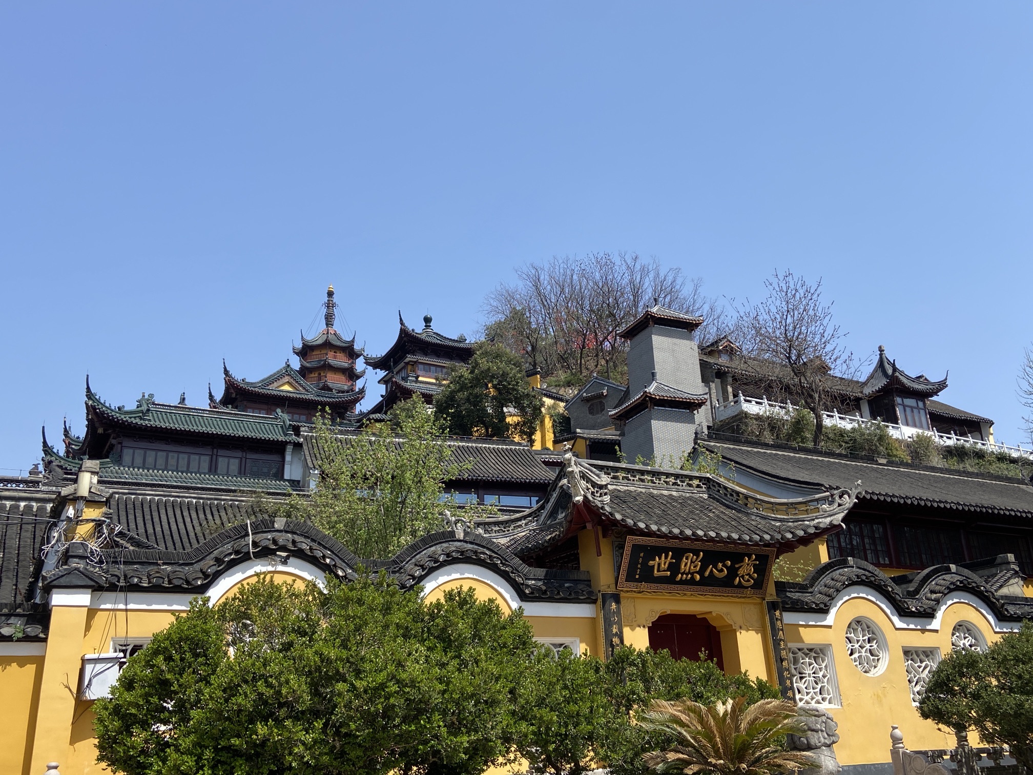 金山公园旅行图片 3