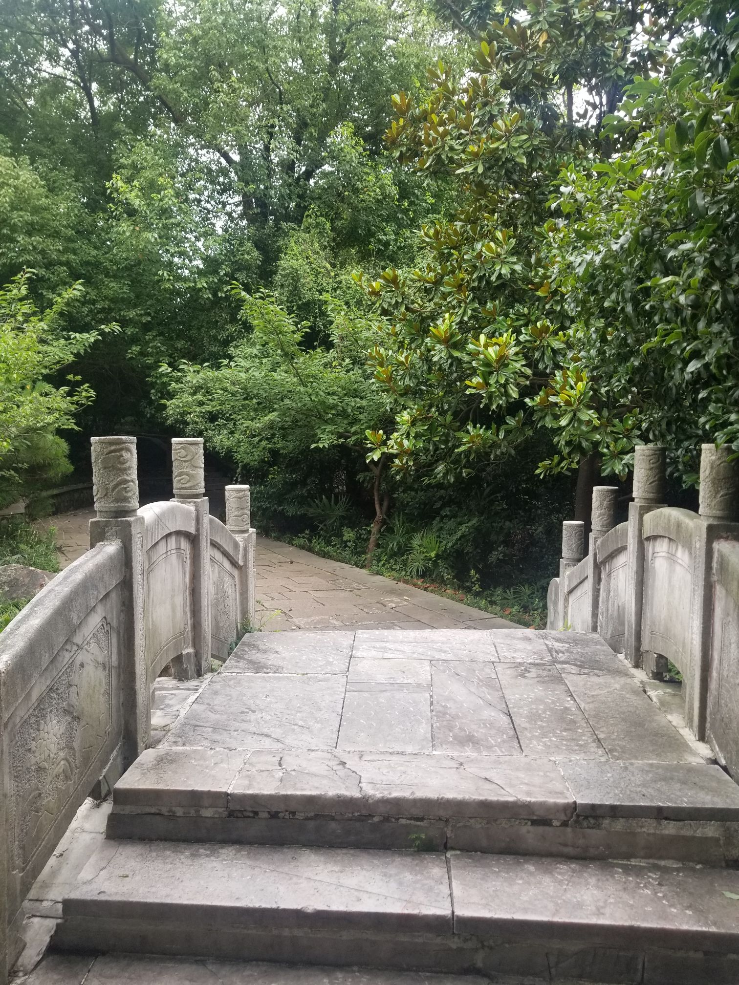 宝塔山公园旅行图片 2