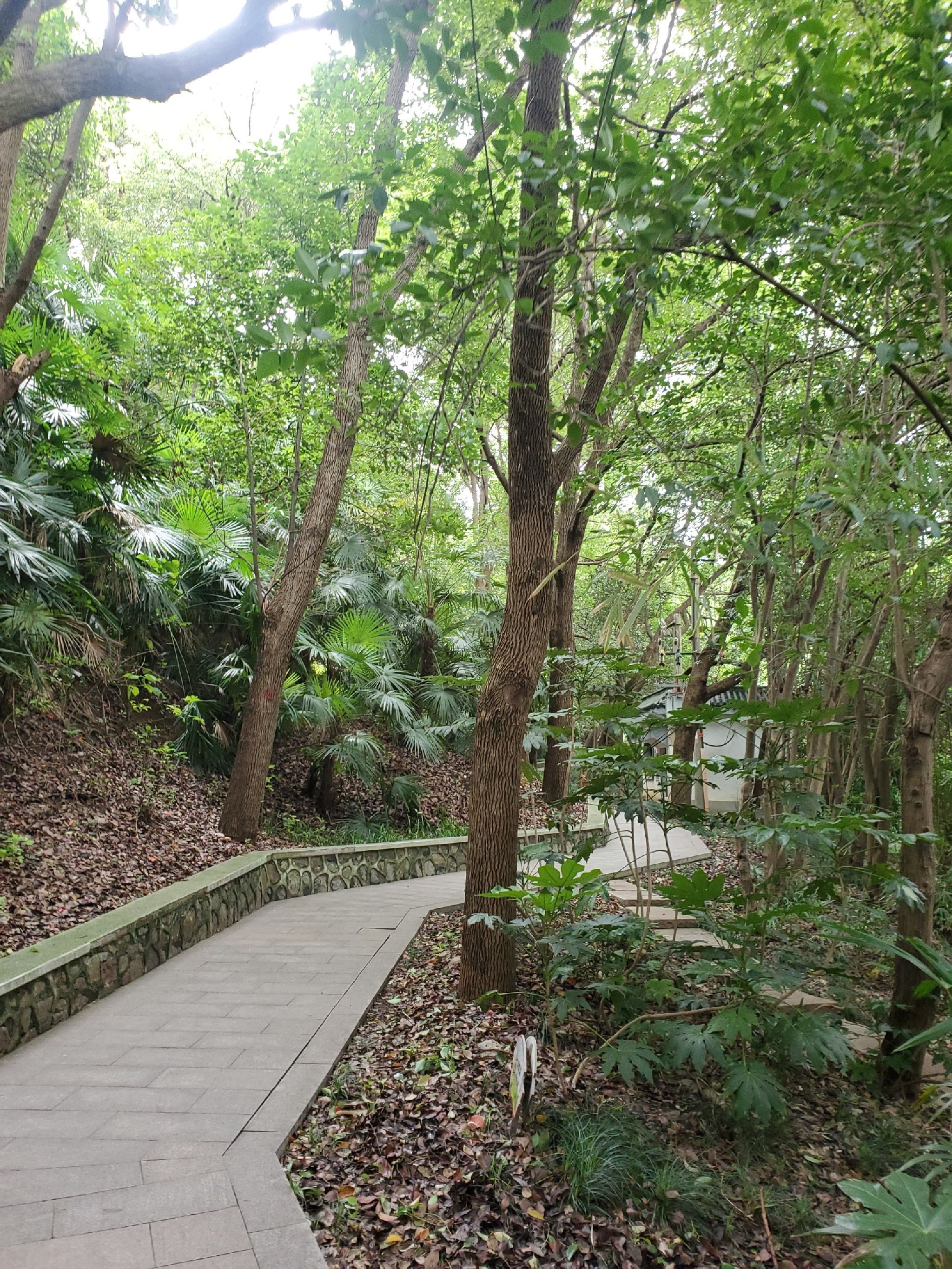 宝塔山公园旅行图片 1