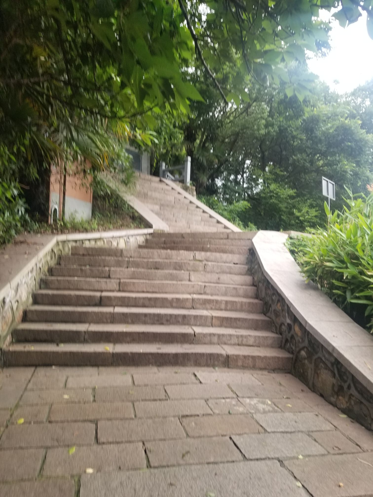 宝塔山公园旅行图片 3