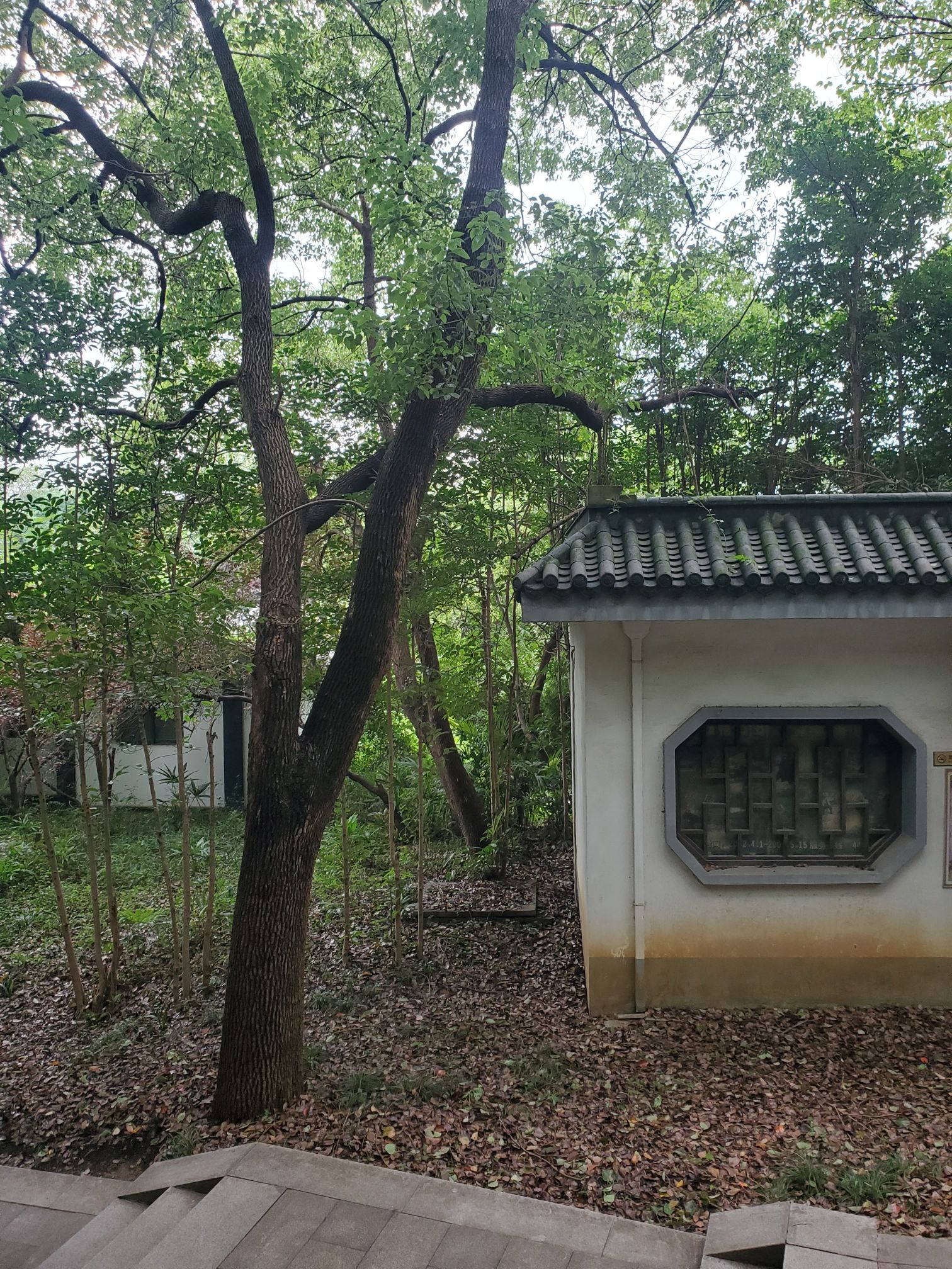 宝塔山公园旅行图片 3