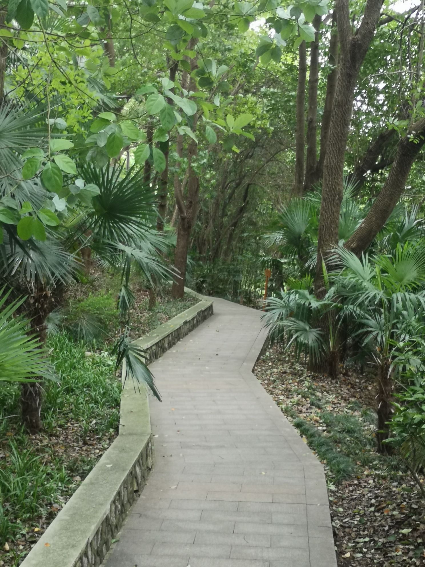 宝塔山公园旅行图片 2