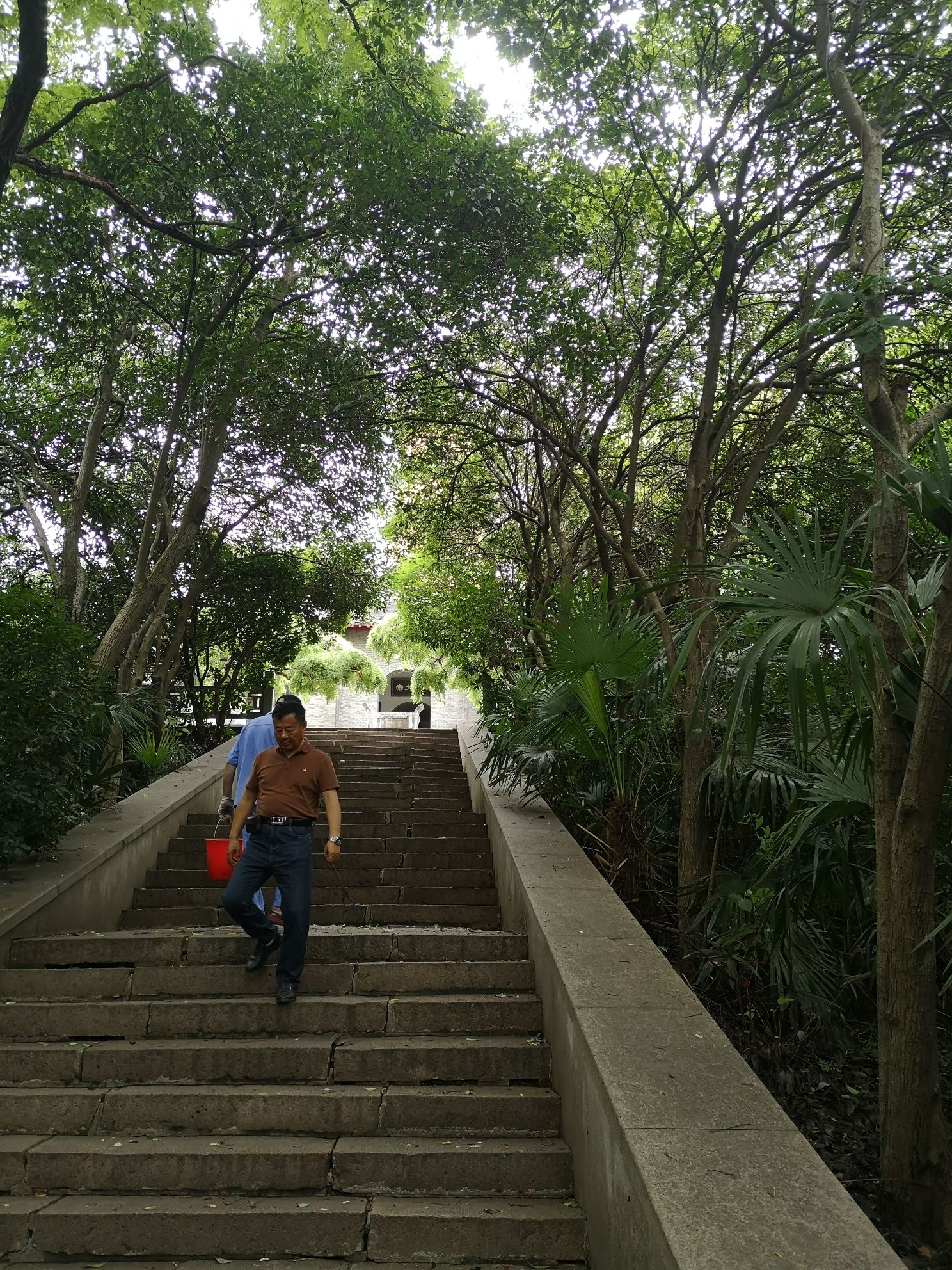 宝塔山公园旅行图片 3