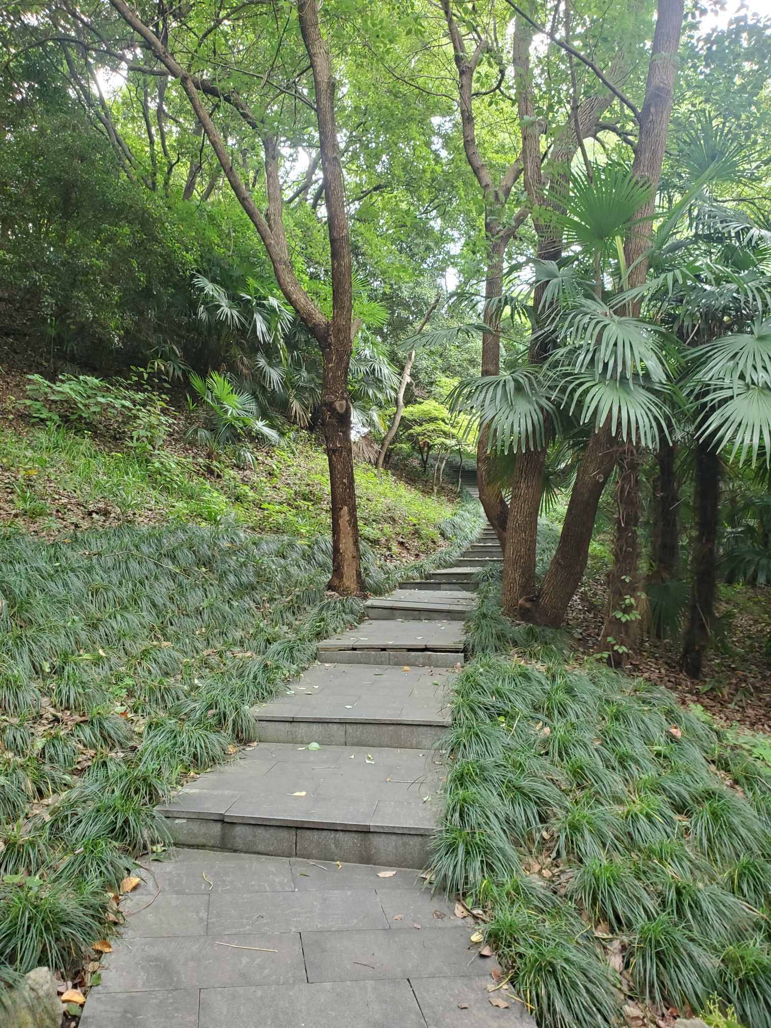宝塔山公园旅行图片 2